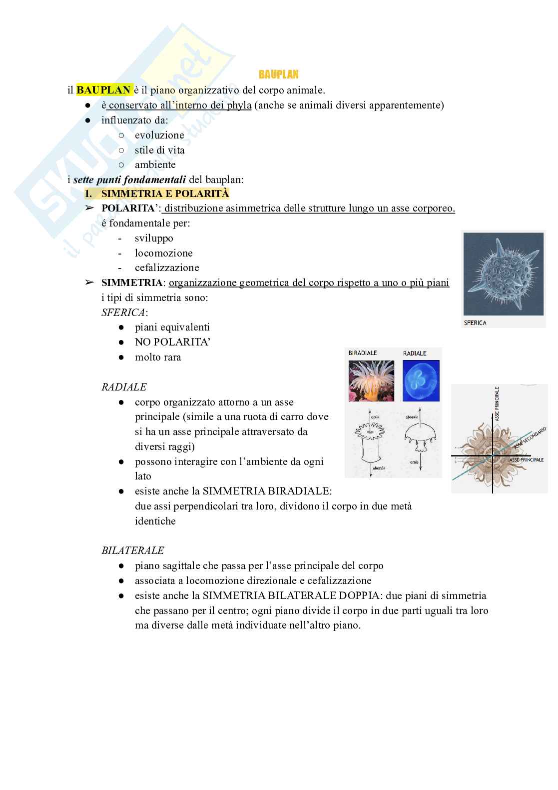 Appunti di Biologia e sistematica animale su introduzione e Bauplan Pag. 2