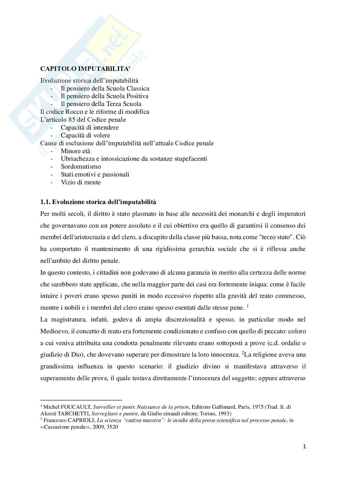 Imputabilità  Pag. 1
