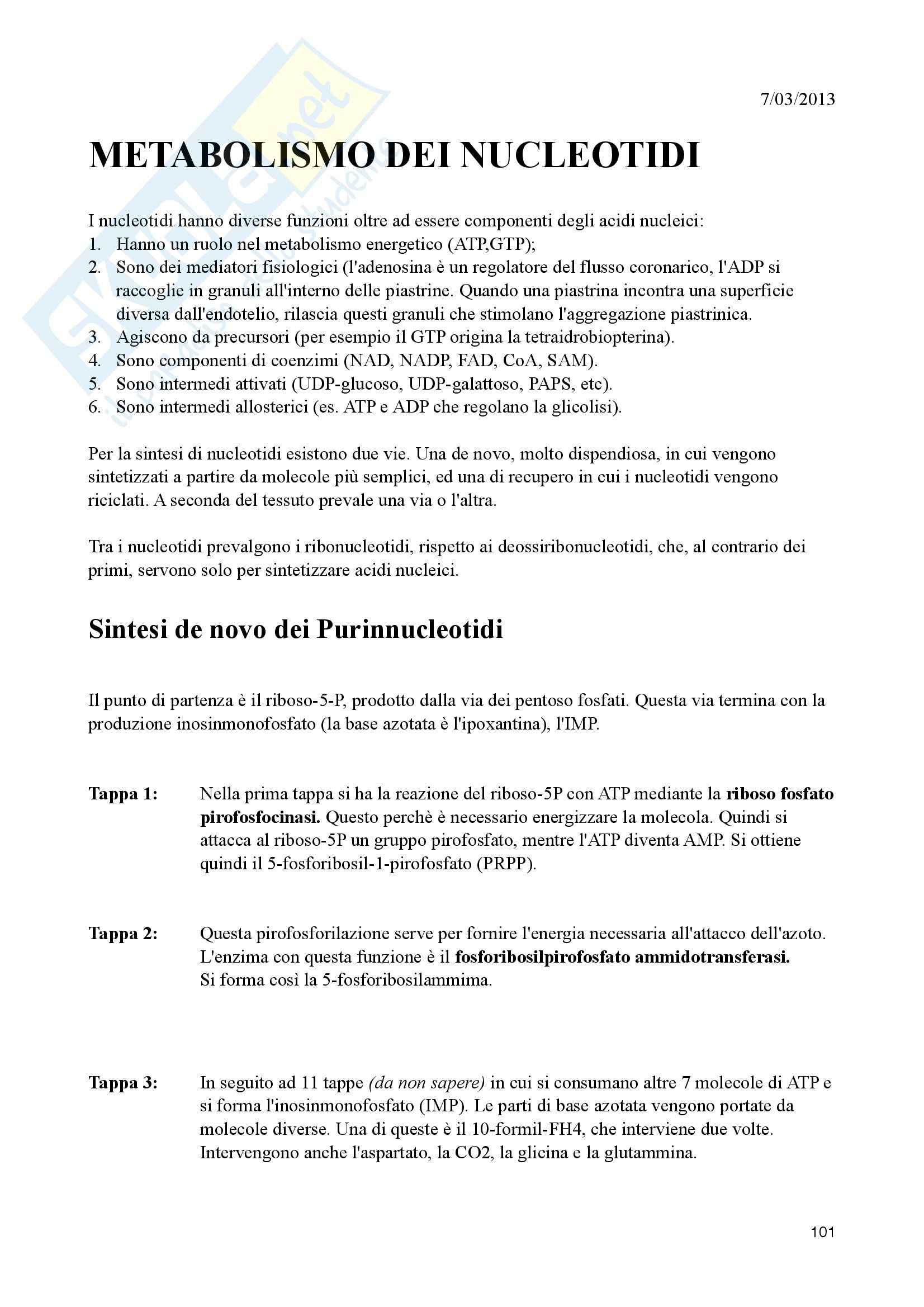 Appunti di Biochimica Metabolica Pag. 101