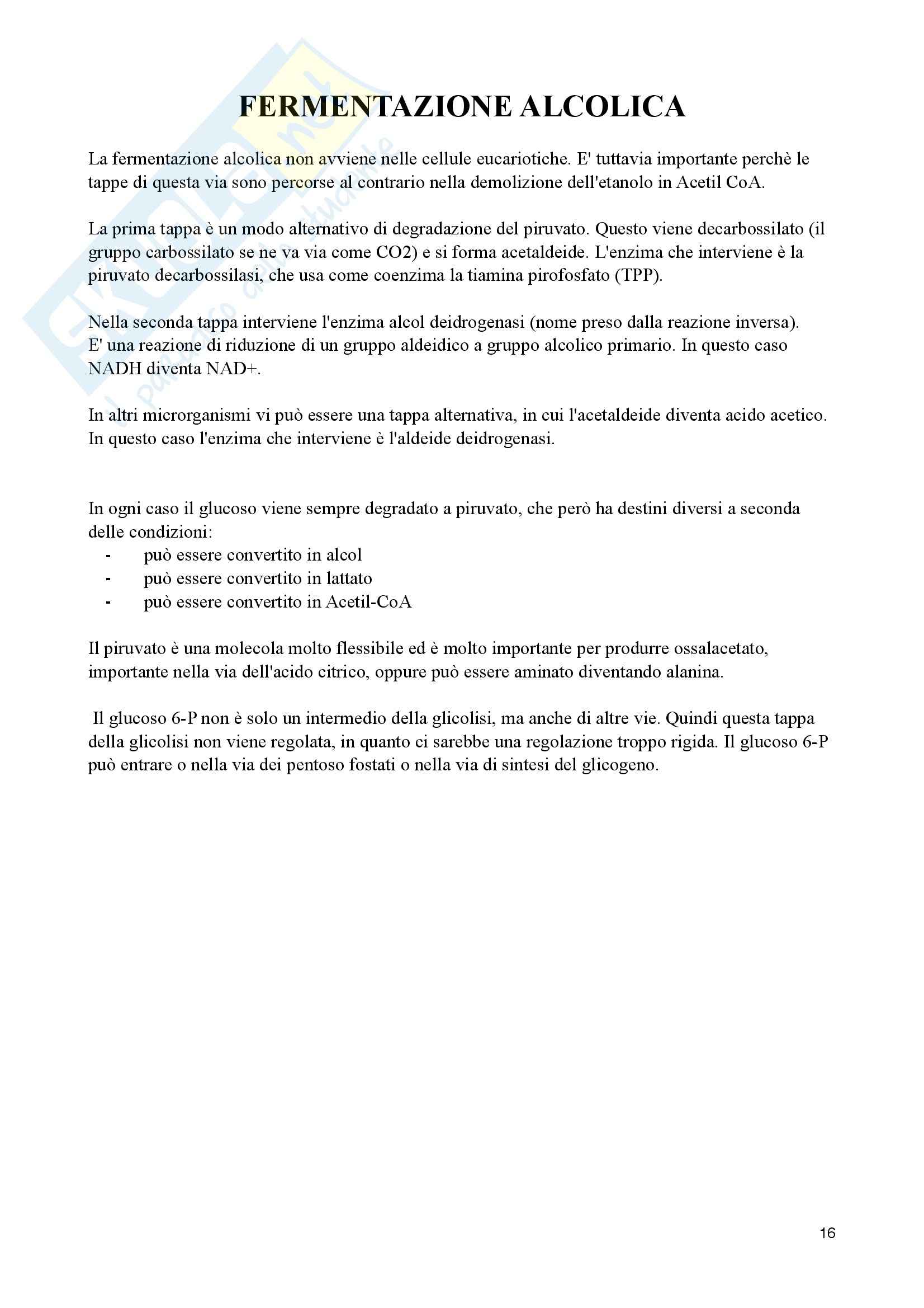Appunti di Biochimica Metabolica Pag. 16