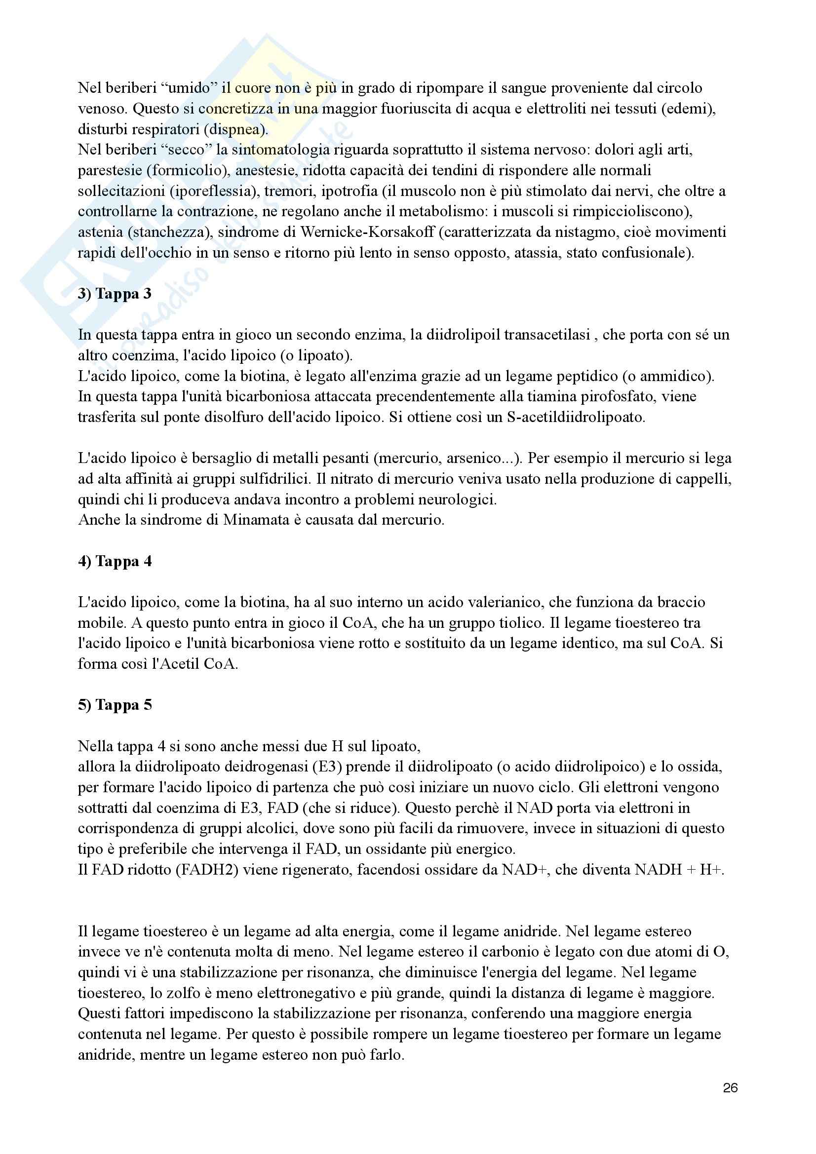 Appunti di Biochimica Metabolica Pag. 26