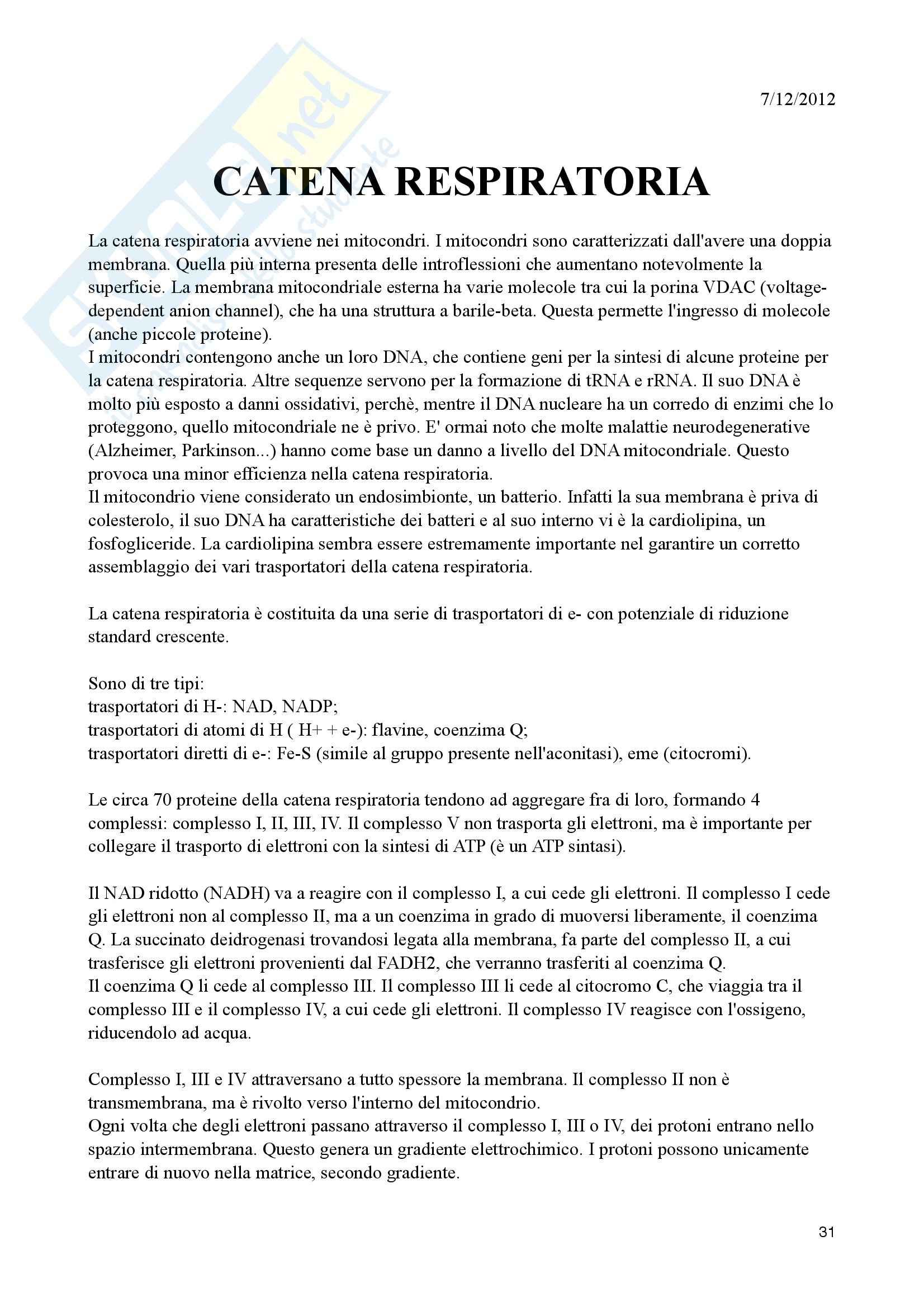 Appunti di Biochimica Metabolica Pag. 31