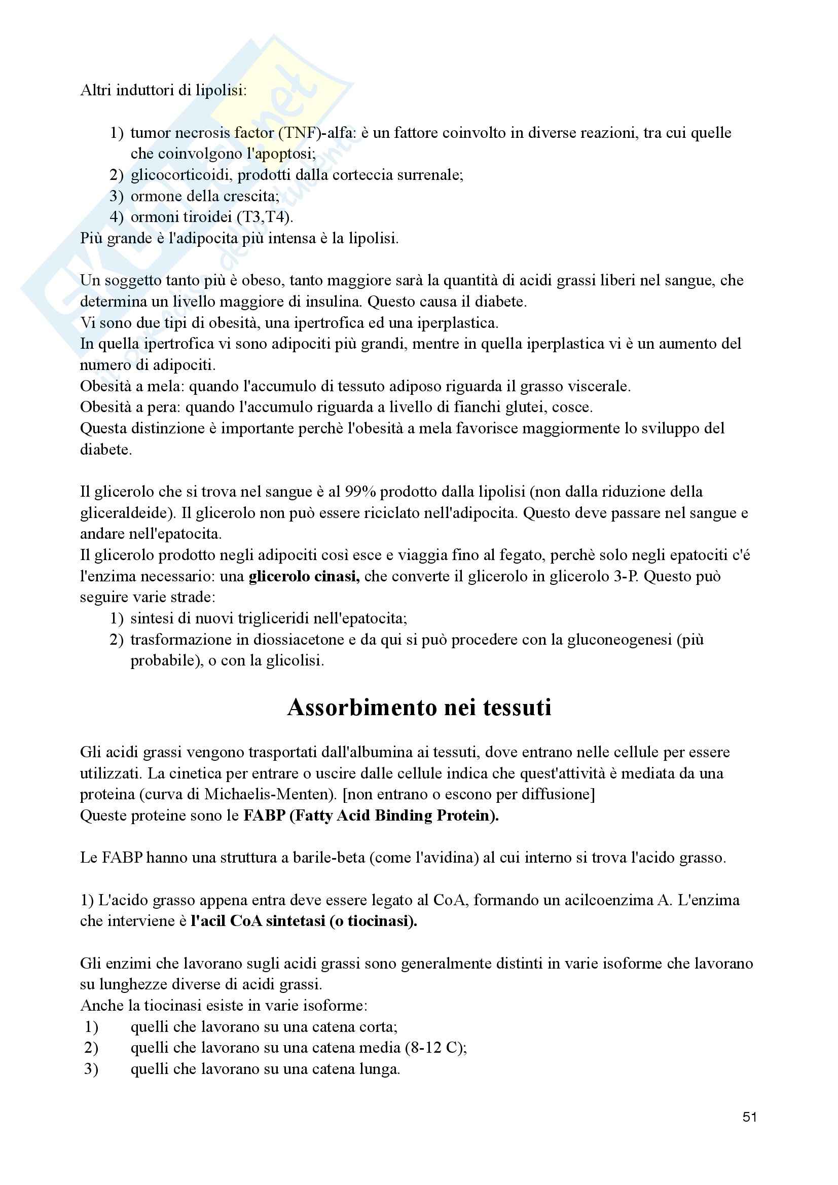 Appunti di Biochimica Metabolica Pag. 51
