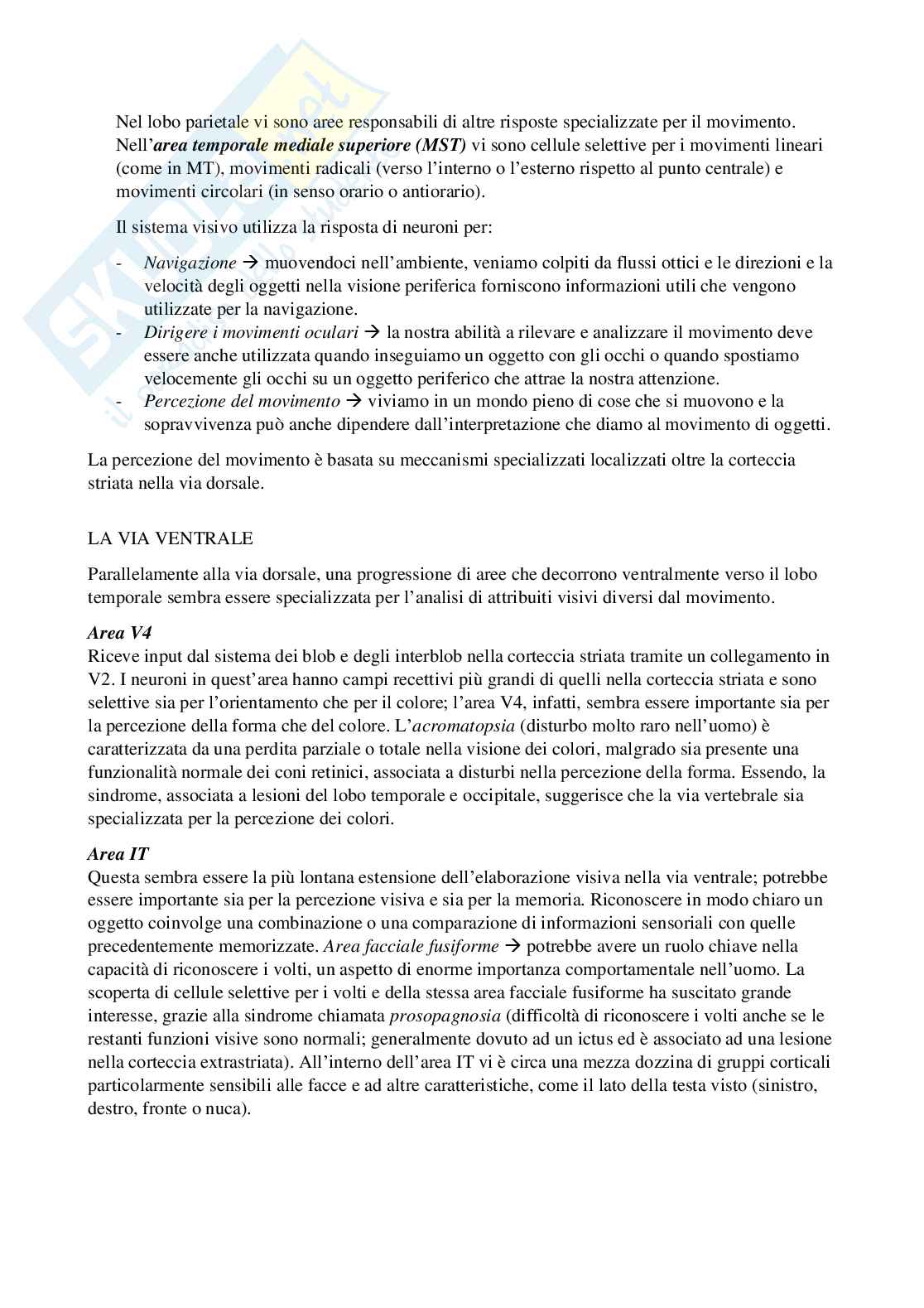 Riassunto esame Psicobiologia 1, Prof. Berchicci Marika, libro consigliato Neuroscienze. Esplorando il cervello (nel mio file sono presenti solo i capitoli 9-10-12), Bear, Connors, Paradiso Pag. 26