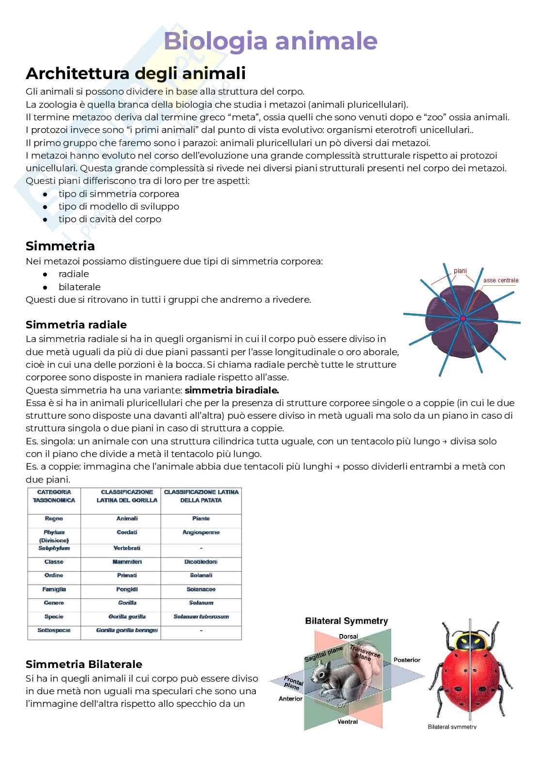 Biologia animale - parte 1 Pag. 1