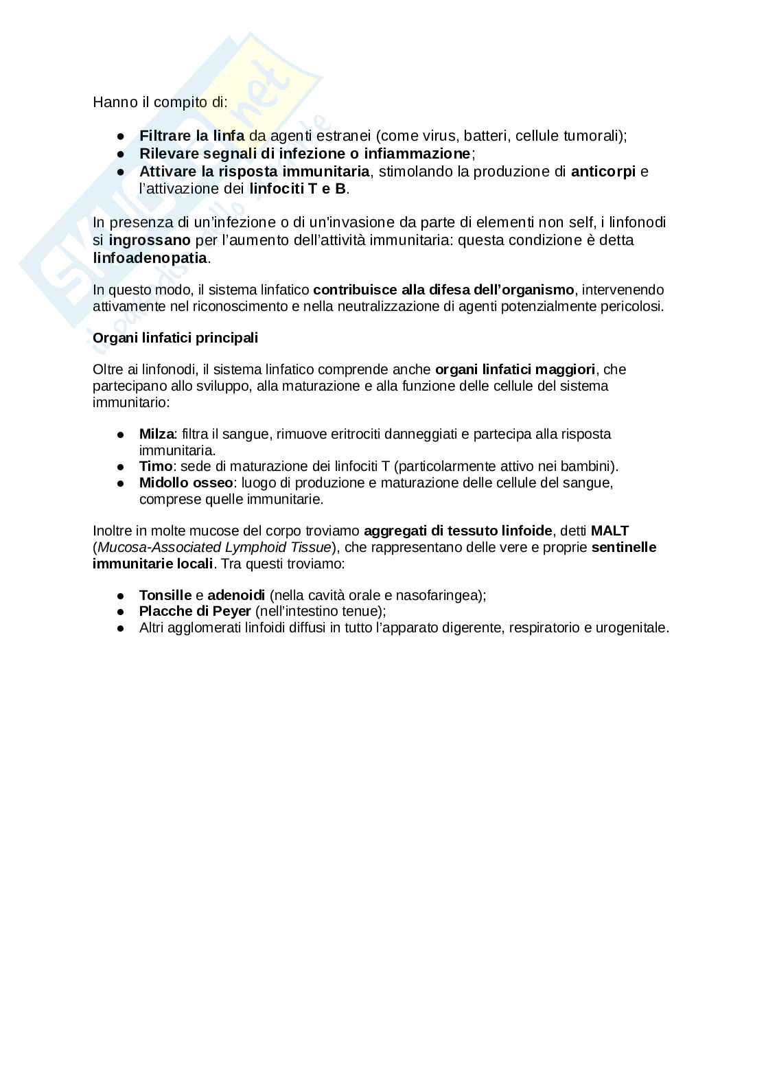 Sistema linfatico  Pag. 2