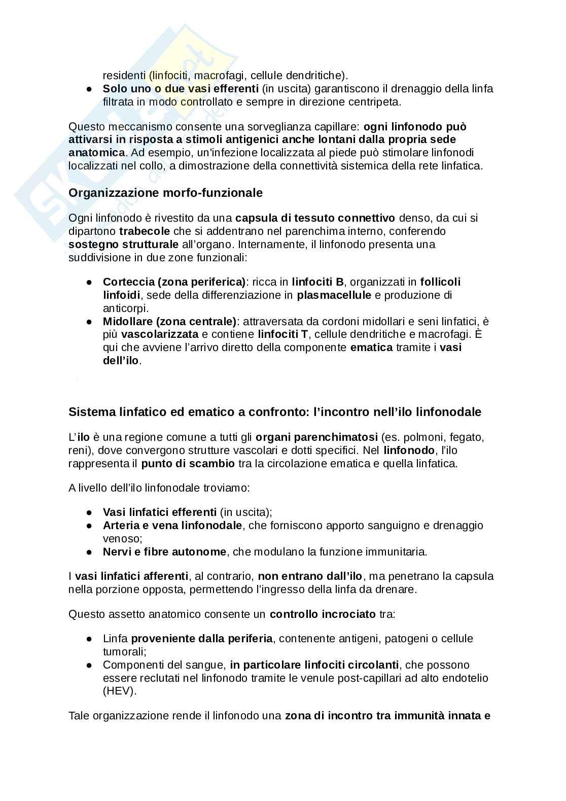 Sistema linfatico  Pag. 6