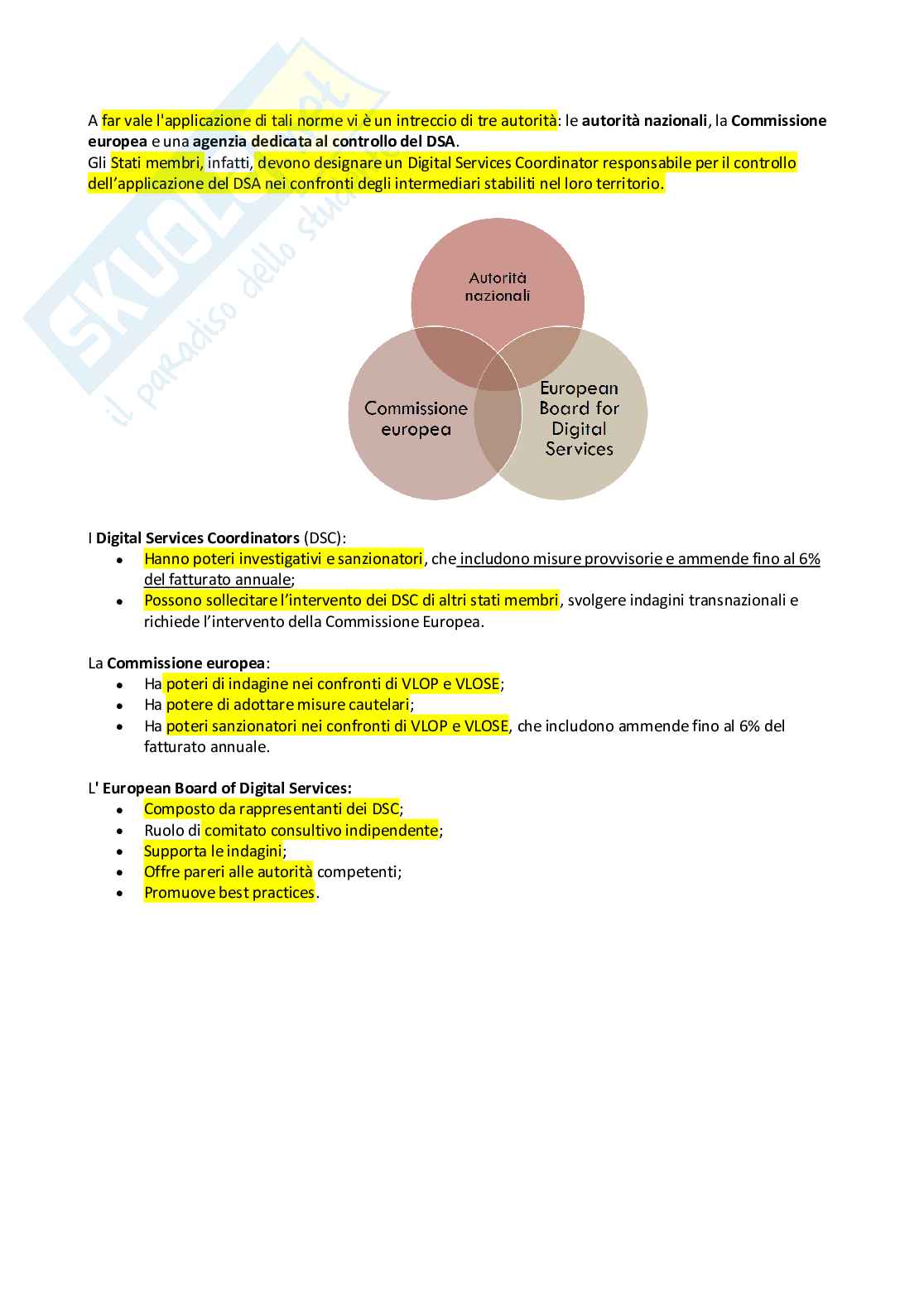 Appunti di Diritto dell'Unione Europea dei dati e delle tecnologie Pag. 41