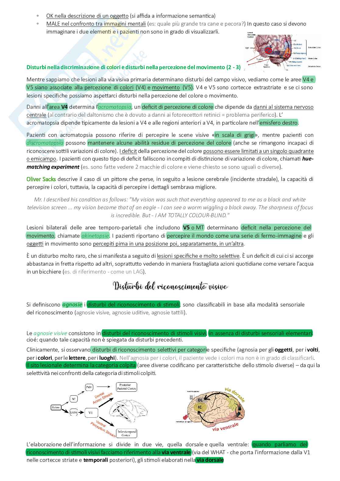Appunti completi Neuropsicologia Pag. 16
