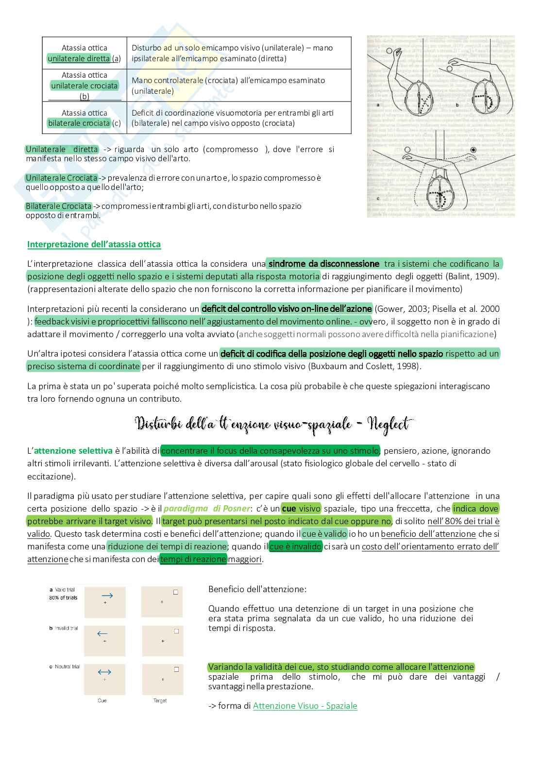 Appunti completi Neuropsicologia Pag. 26
