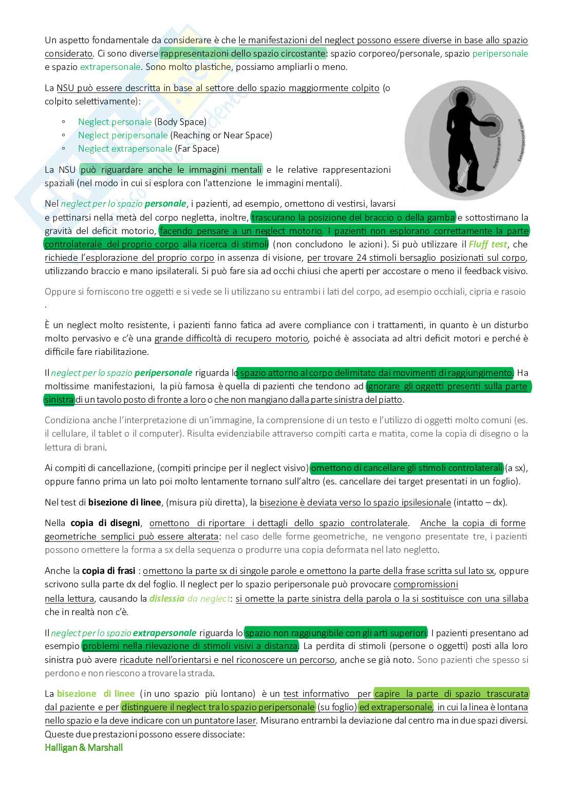 Appunti completi Neuropsicologia Pag. 31