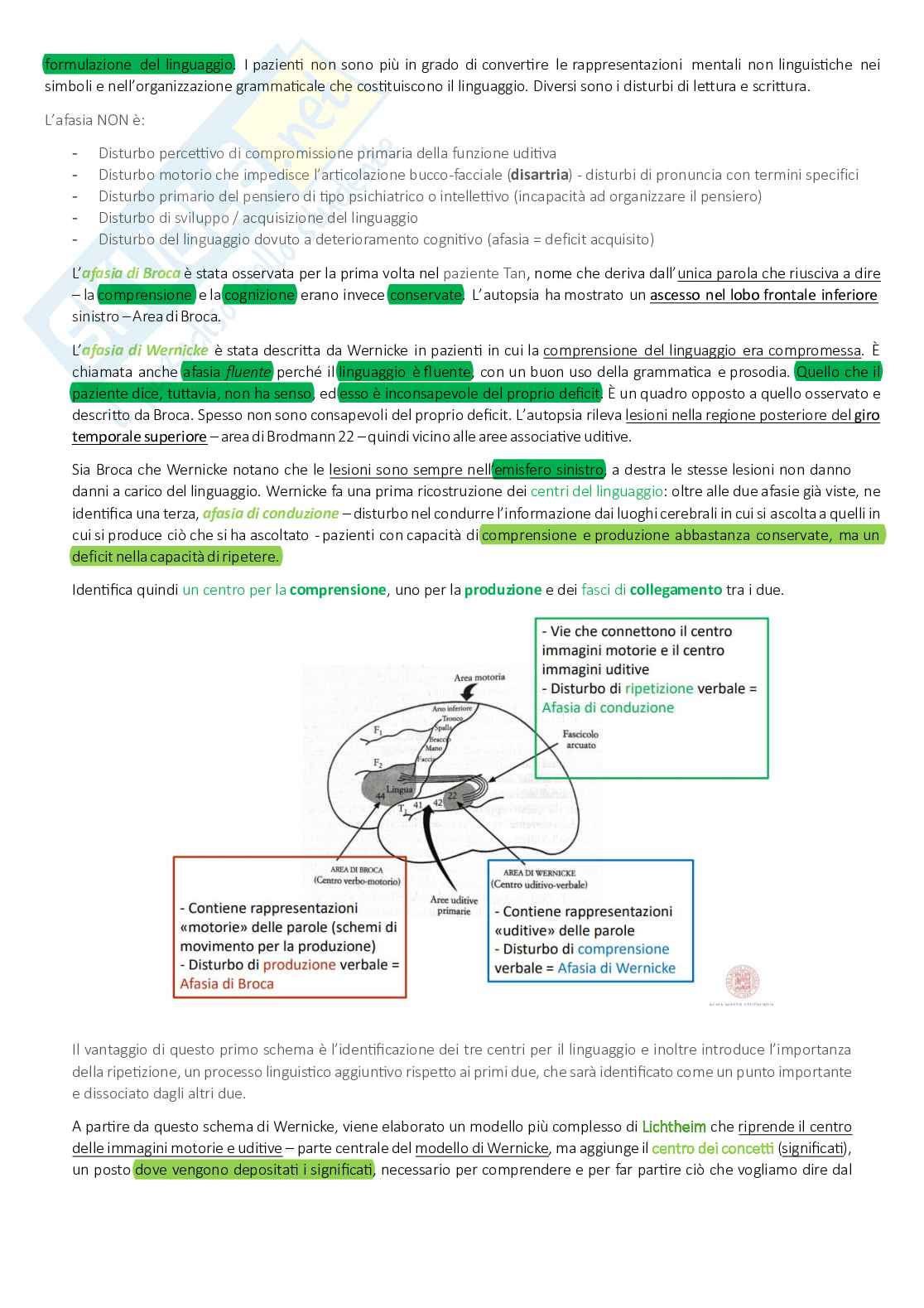 Appunti completi Neuropsicologia Pag. 36