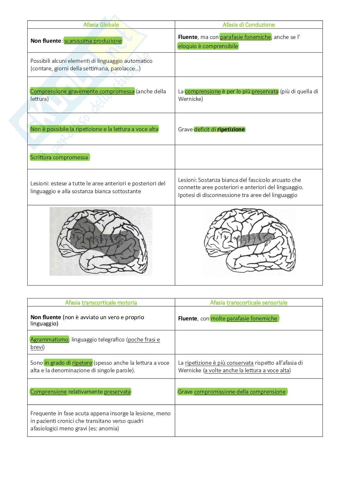 Appunti completi Neuropsicologia Pag. 46