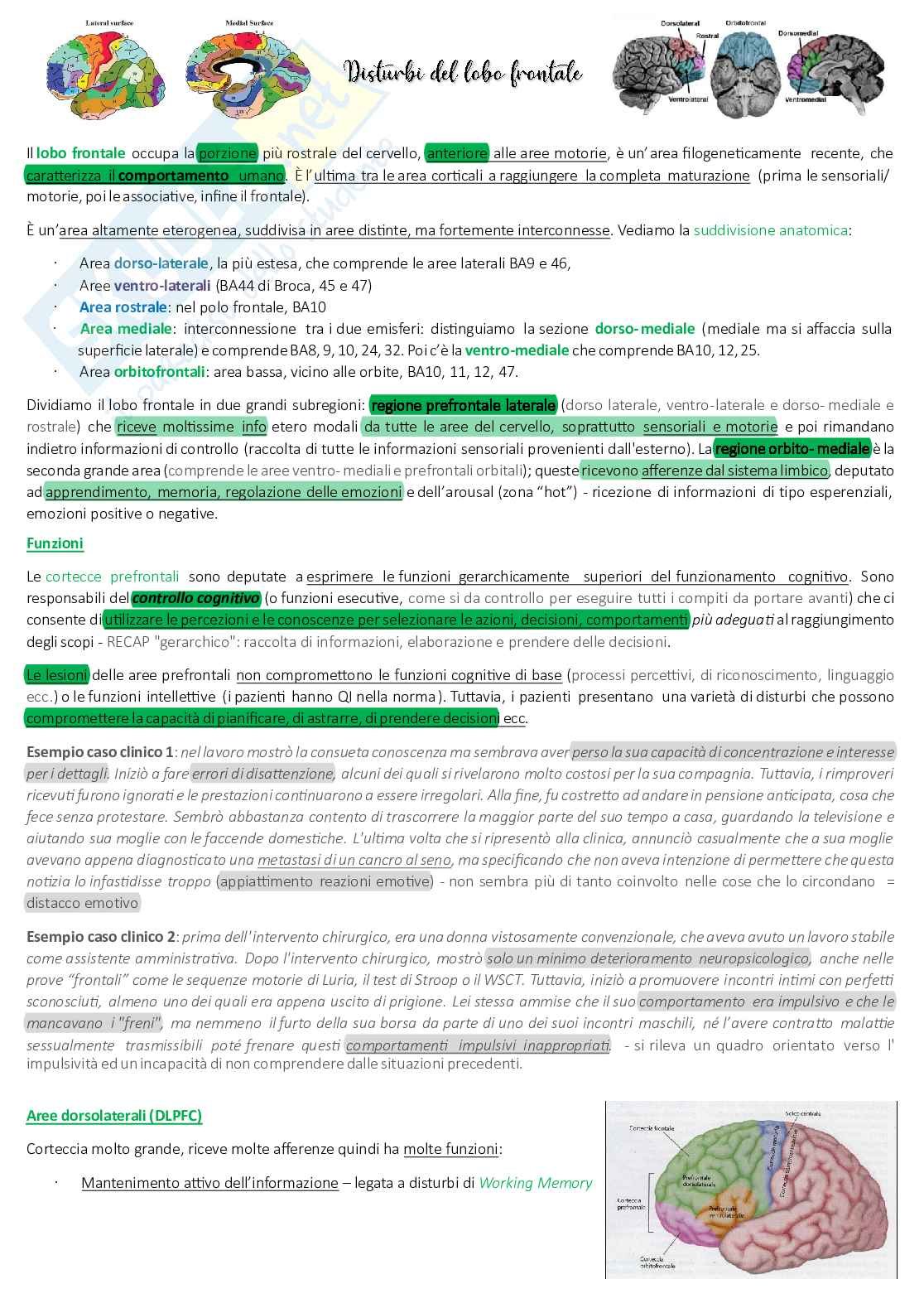 Appunti completi Neuropsicologia Pag. 51