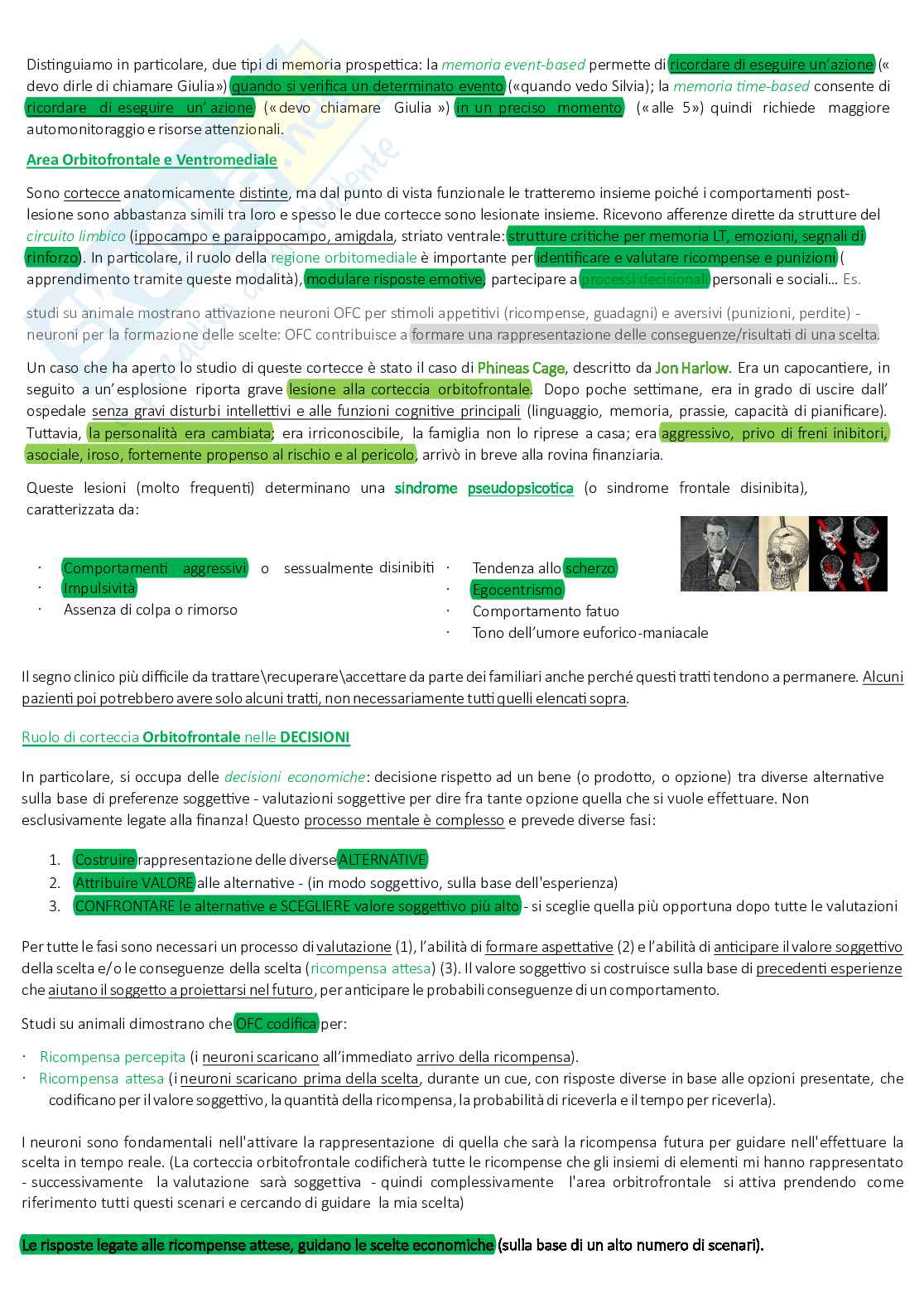Appunti completi Neuropsicologia Pag. 56