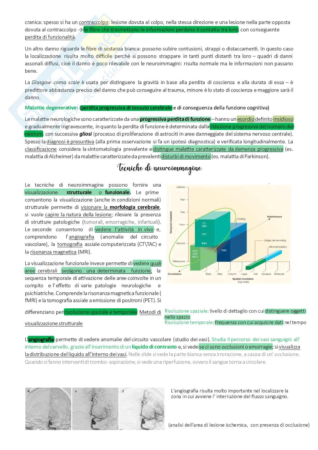 Appunti completi Neuropsicologia Pag. 6