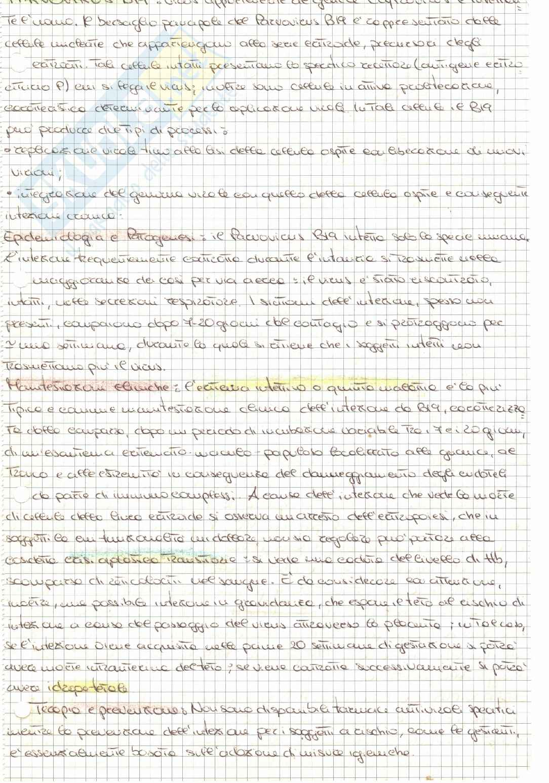 Riassunto di Microbiologia - parte 2 Pag. 11