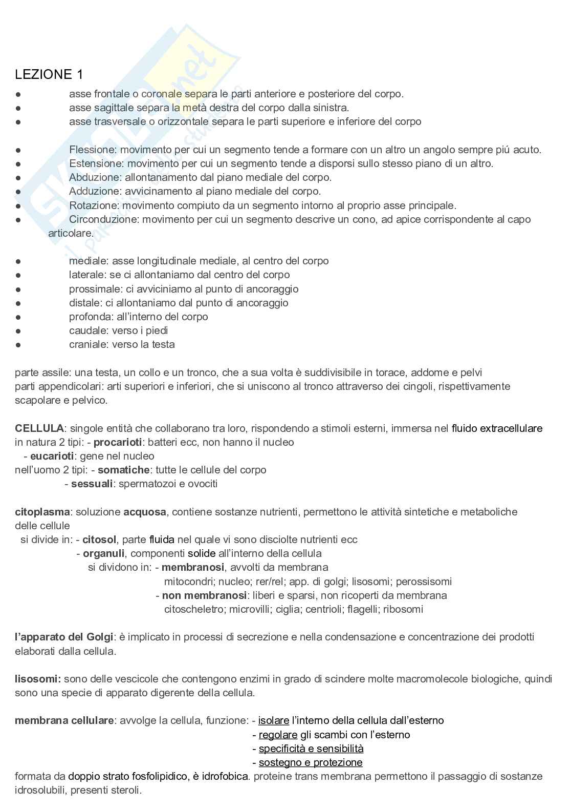 Appunti discorsivi e schematici di Anatomia A e B   Pag. 1
