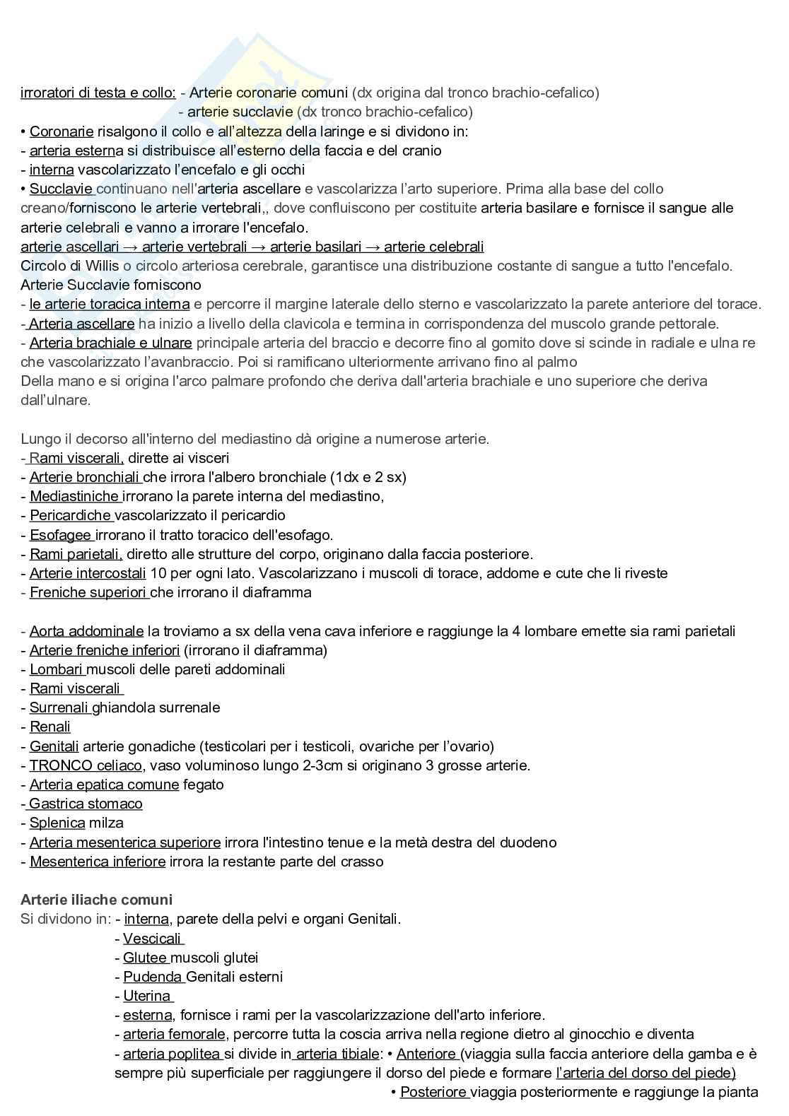 Appunti discorsivi e schematici di Anatomia A e B   Pag. 11