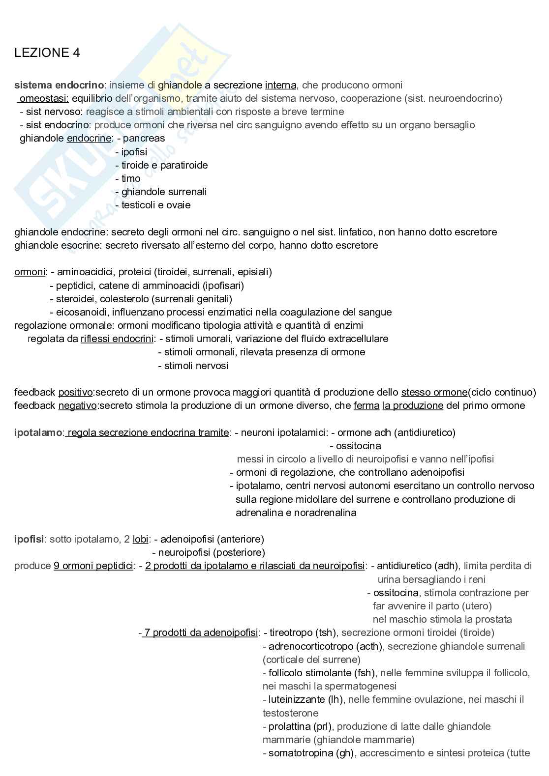 Appunti discorsivi e schematici di Anatomia A e B   Pag. 16