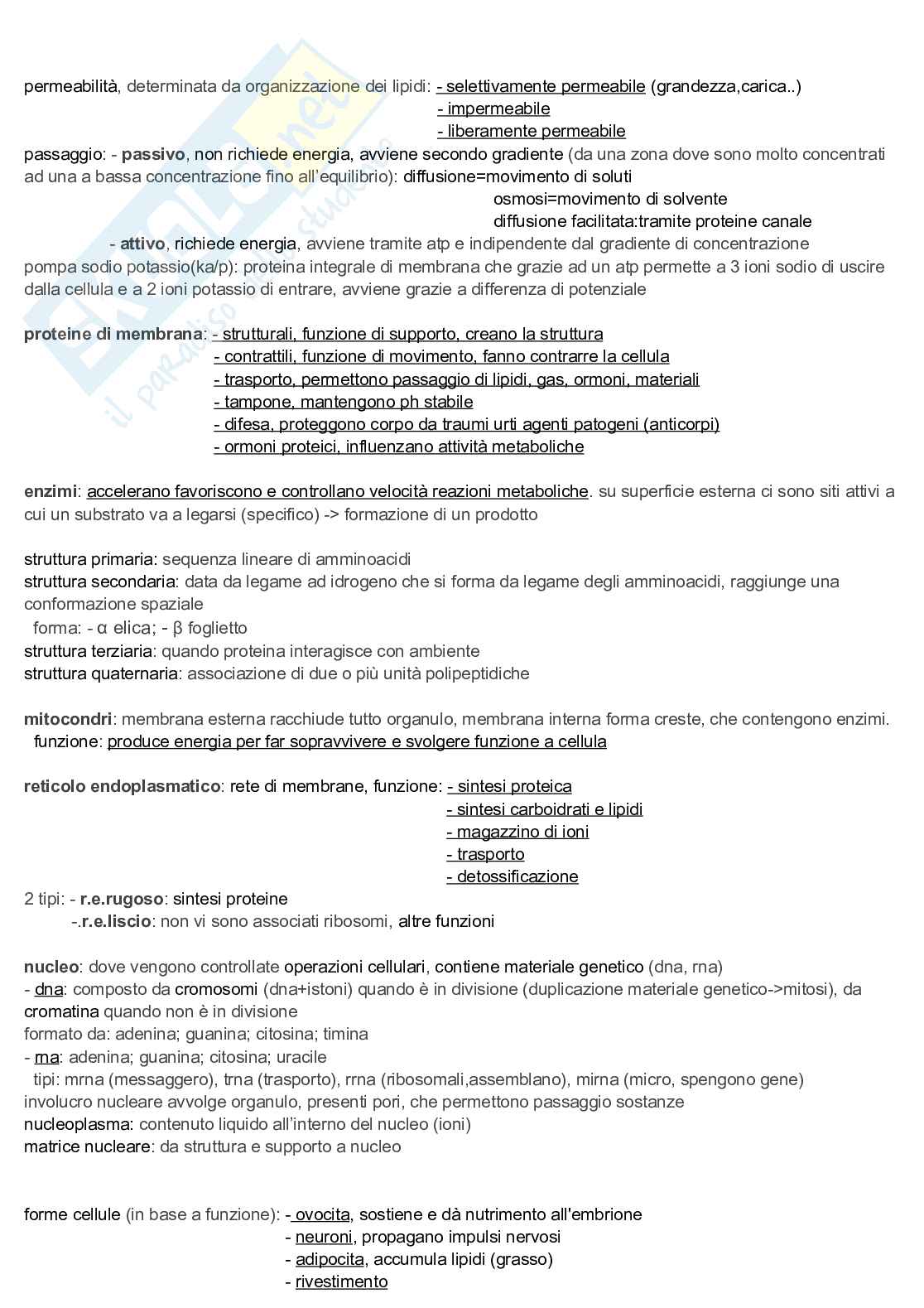 Appunti discorsivi e schematici di Anatomia A e B   Pag. 2