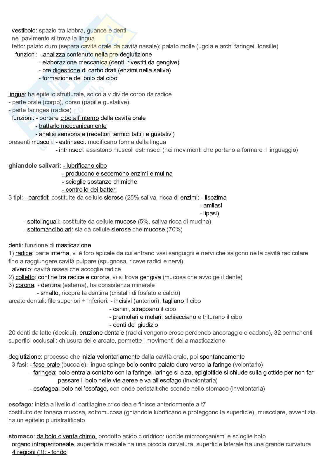 Appunti discorsivi e schematici di Anatomia A e B   Pag. 21