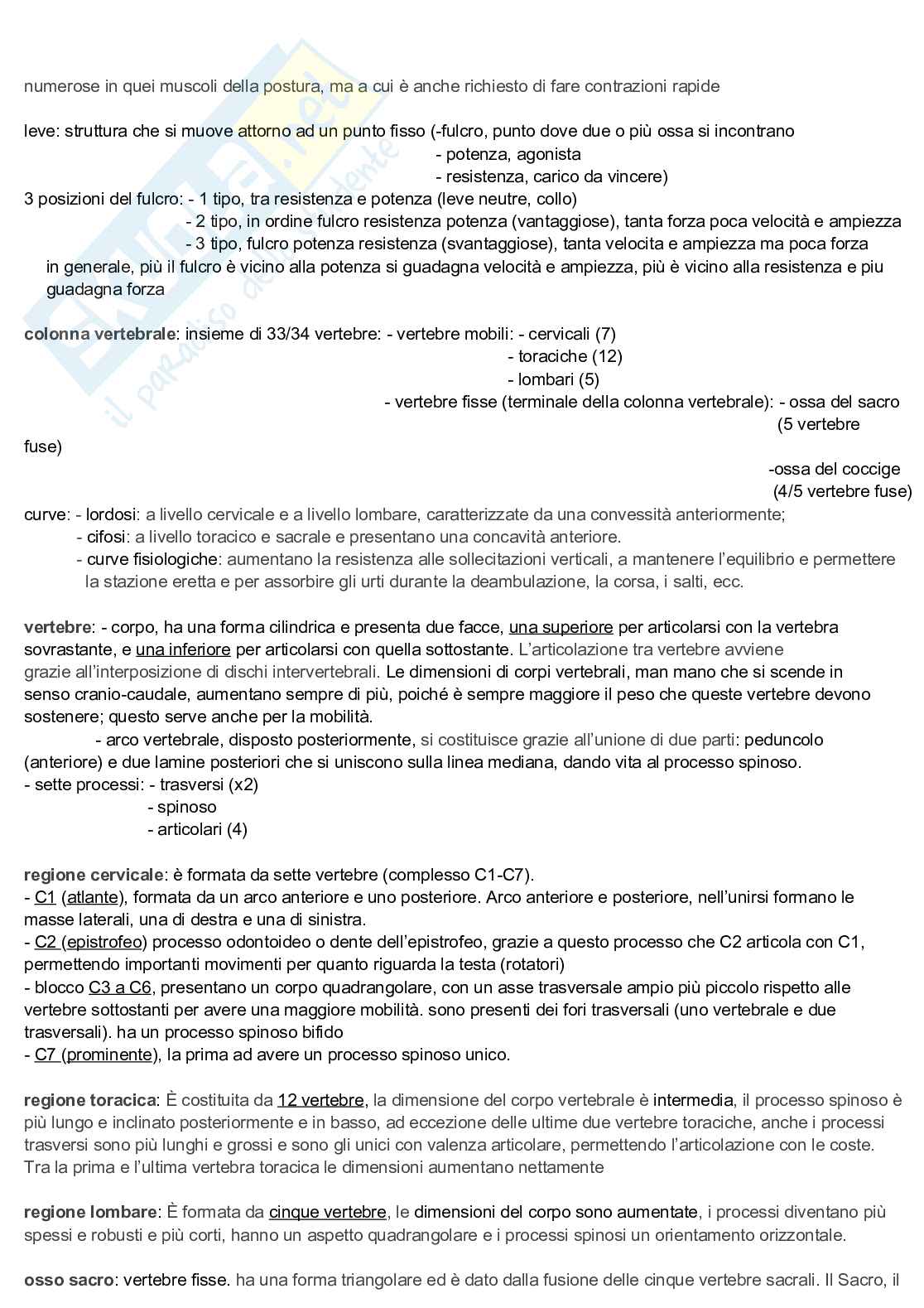 Appunti discorsivi e schematici di Anatomia A e B   Pag. 31