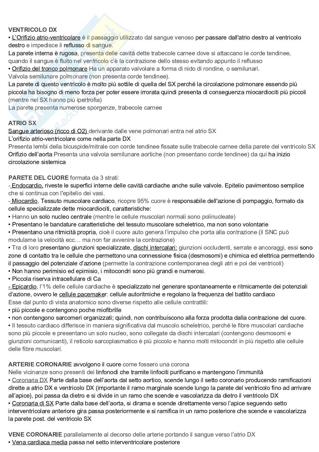 Appunti discorsivi e schematici di Anatomia A e B   Pag. 6