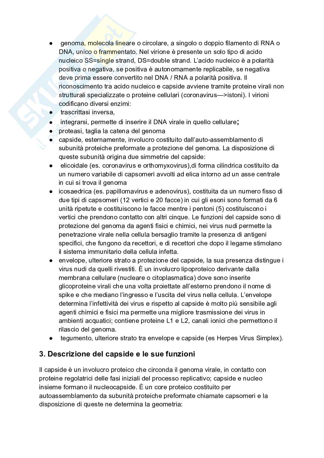 Principi di virologia - Domande Pag. 2
