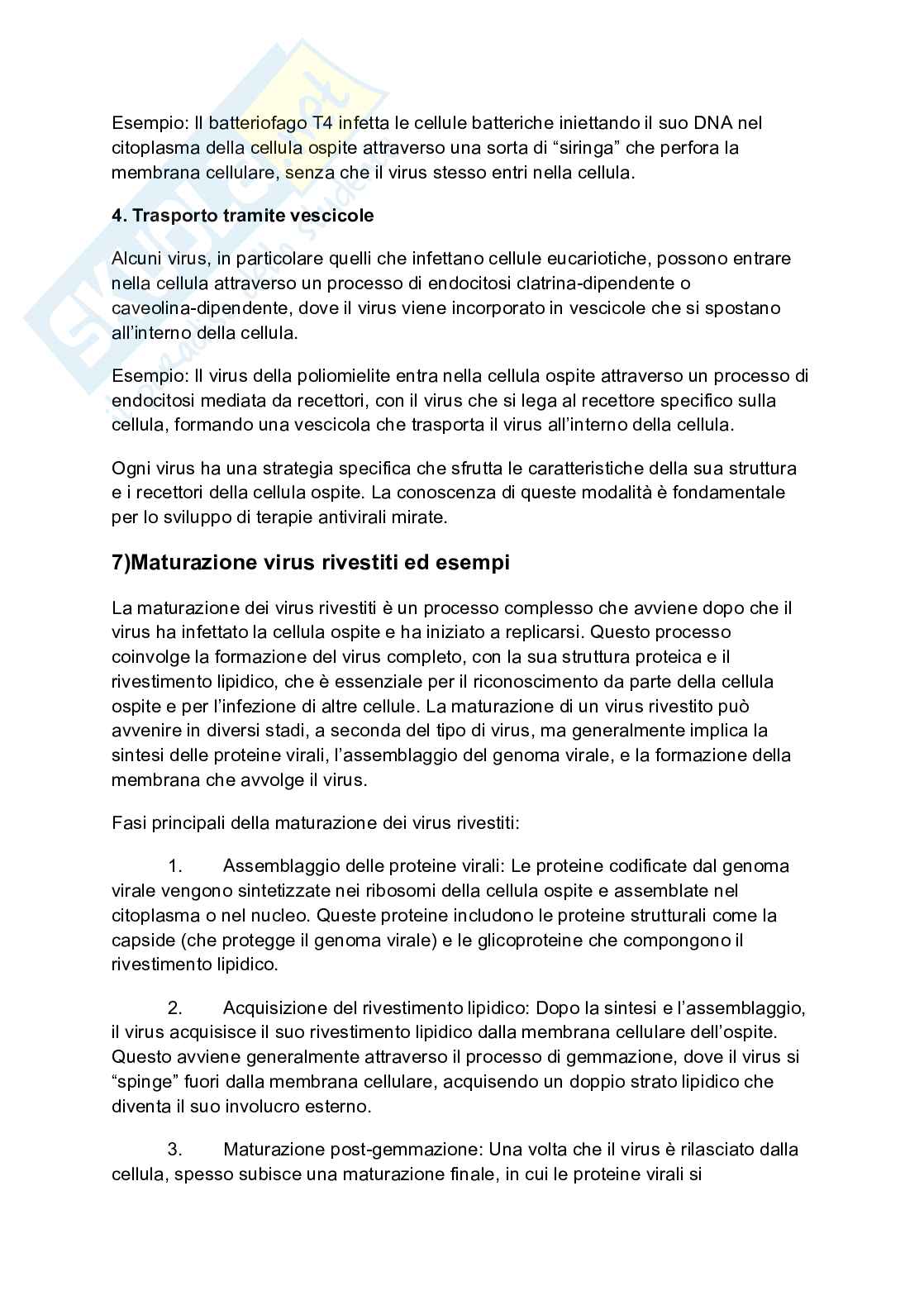Principi di virologia - Domande Pag. 6