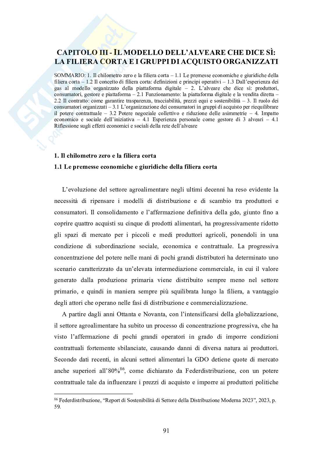 Sostenibilità e diritto nel sistema agroalimentare: analisi dei modelli di distribuzione e tutela del consumatore Pag. 91