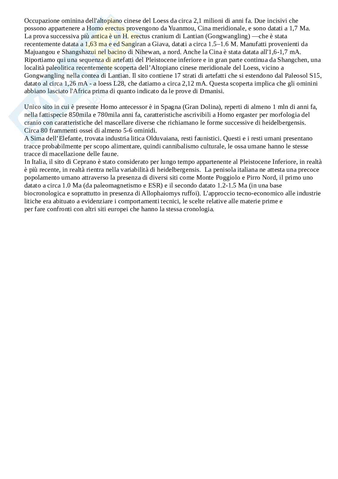 Paleoantropologia Pag. 21