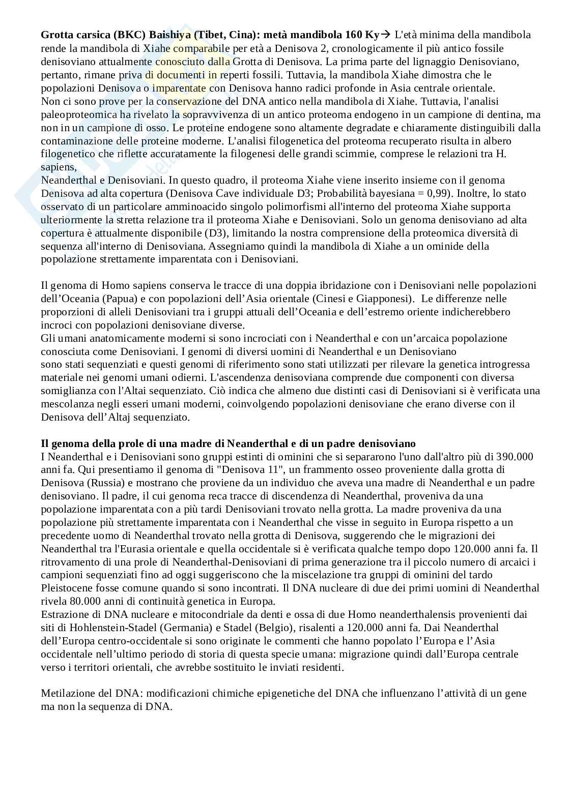 Paleoantropologia Pag. 36