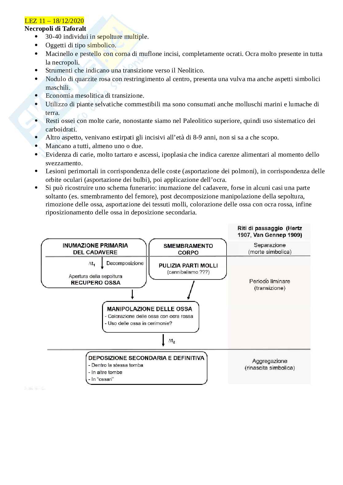 Paleoantropologia Pag. 46