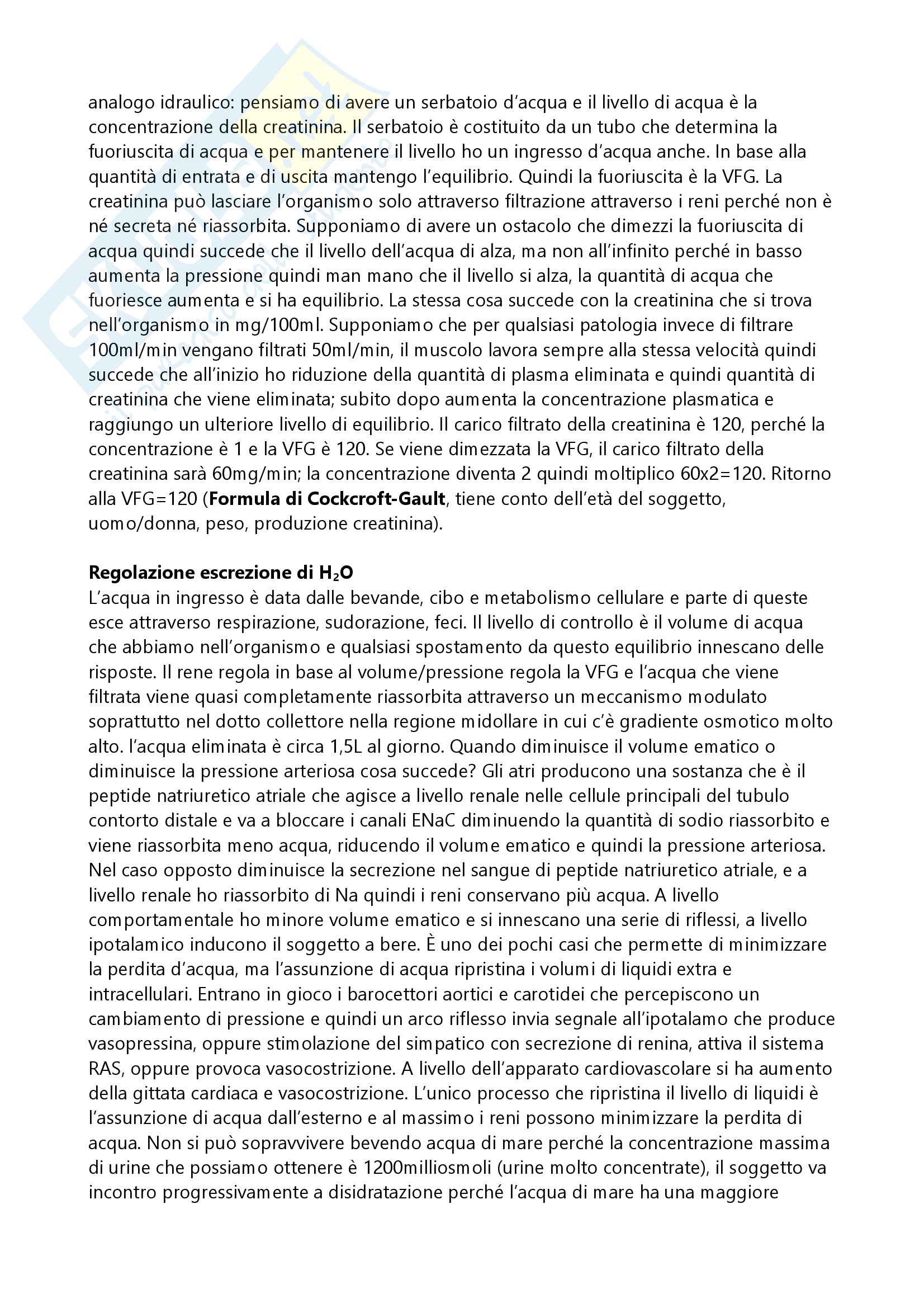 Fisiologia renale e Fisiologia respiratoria Pag. 16