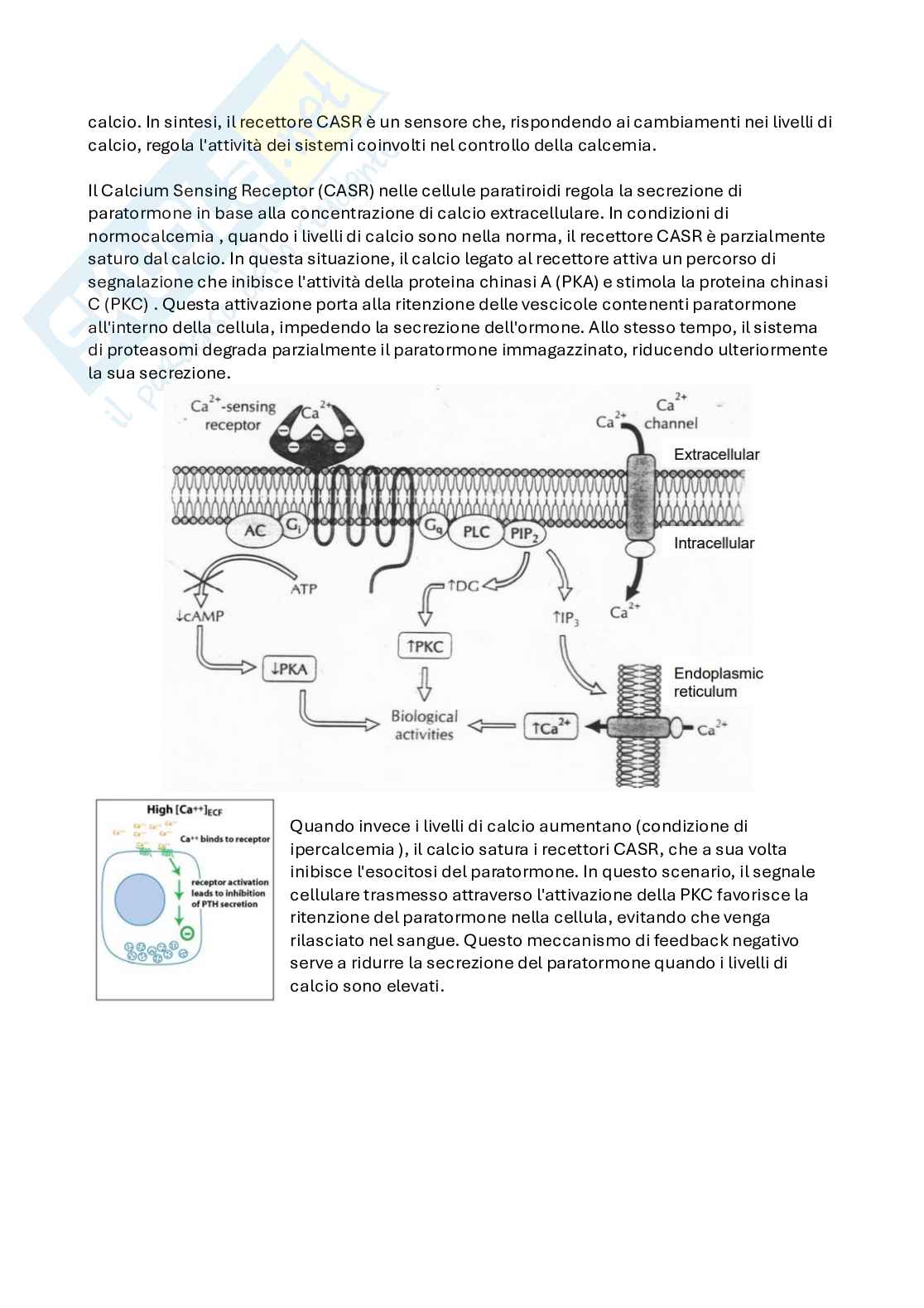 Appunti Biochimica avanzata, quarta parte - anno 2024/25 Pag. 76