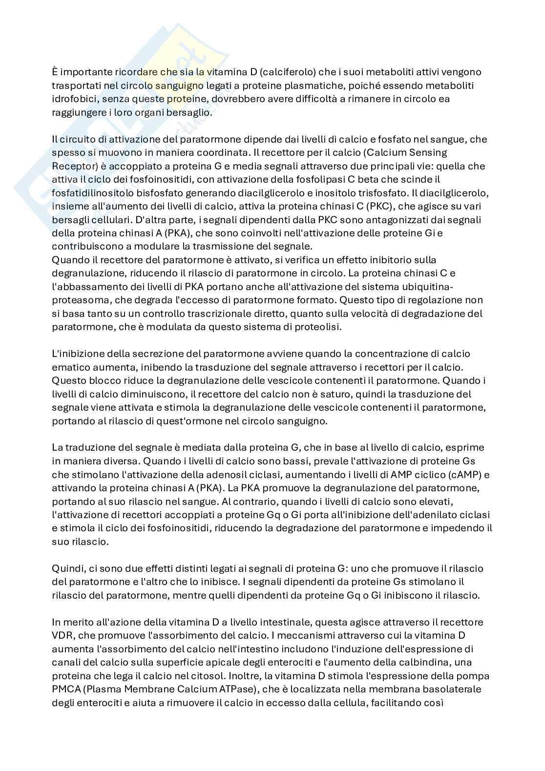 Appunti Biochimica avanzata, quarta parte - anno 2024/25 Pag. 81