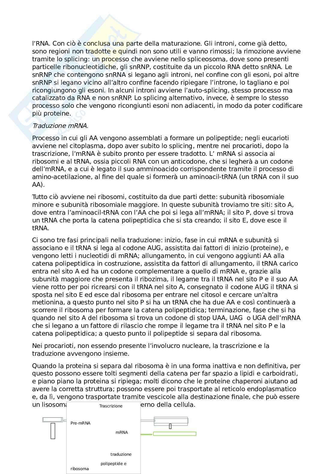 Genetica agraria Pag. 6