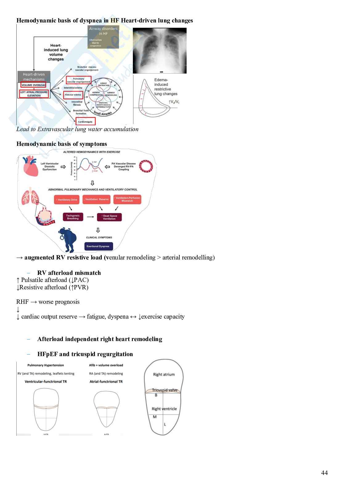 Cardiovascular Medicine Pag. 46