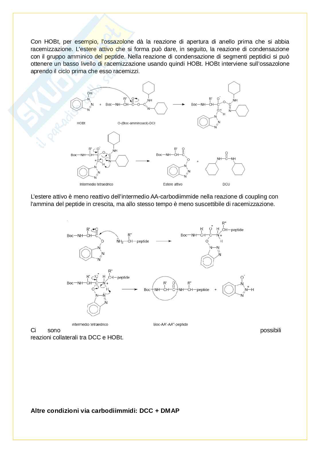 Chimica organica delle biomolecole Pag. 21