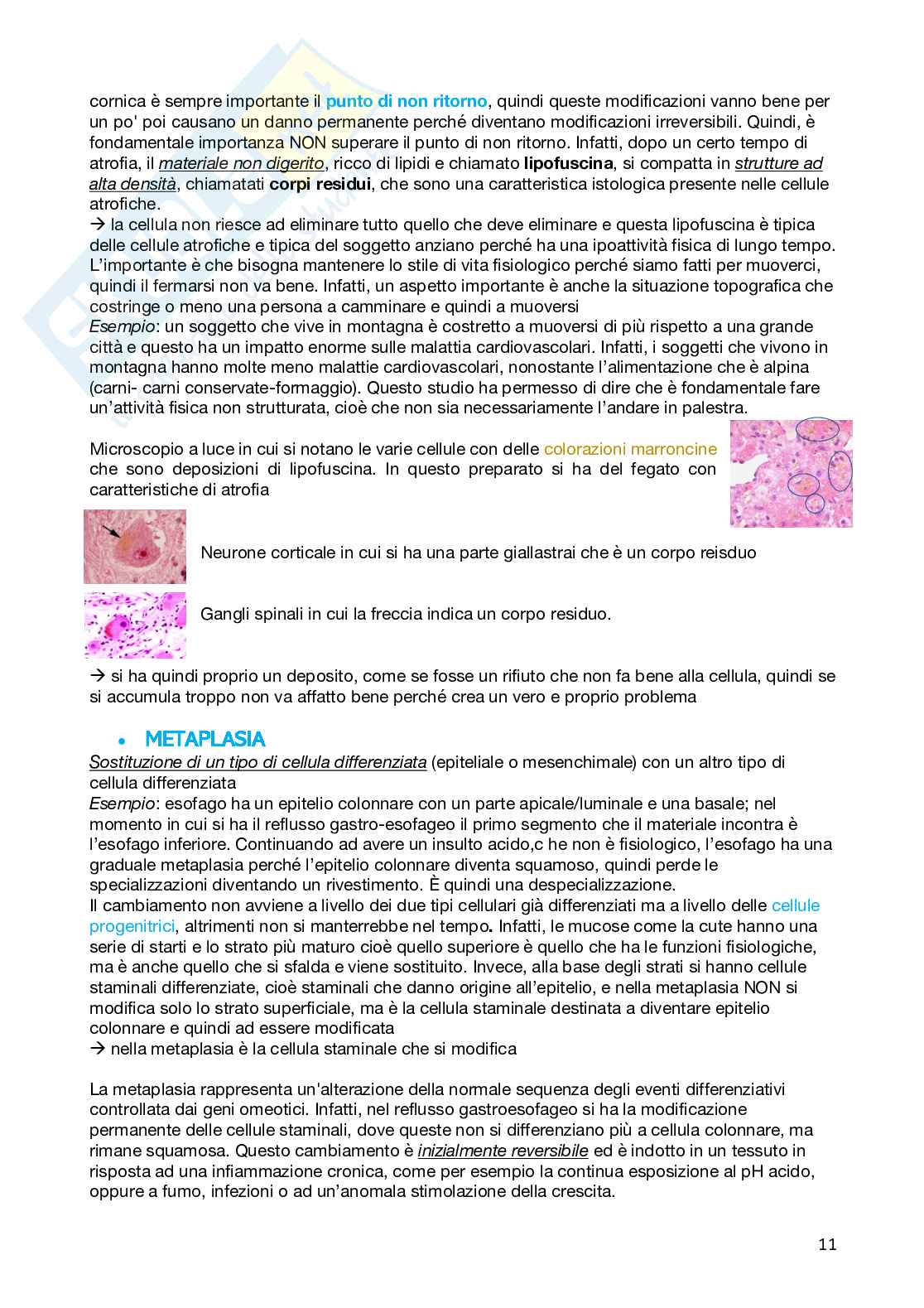 Patologia generale Pag. 11