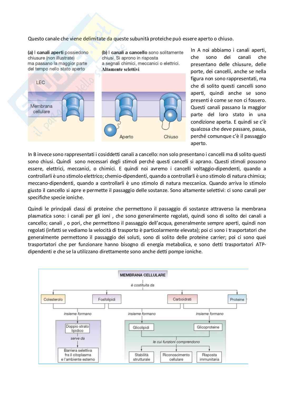 Fisiologia generale - Parte 1  Pag. 26