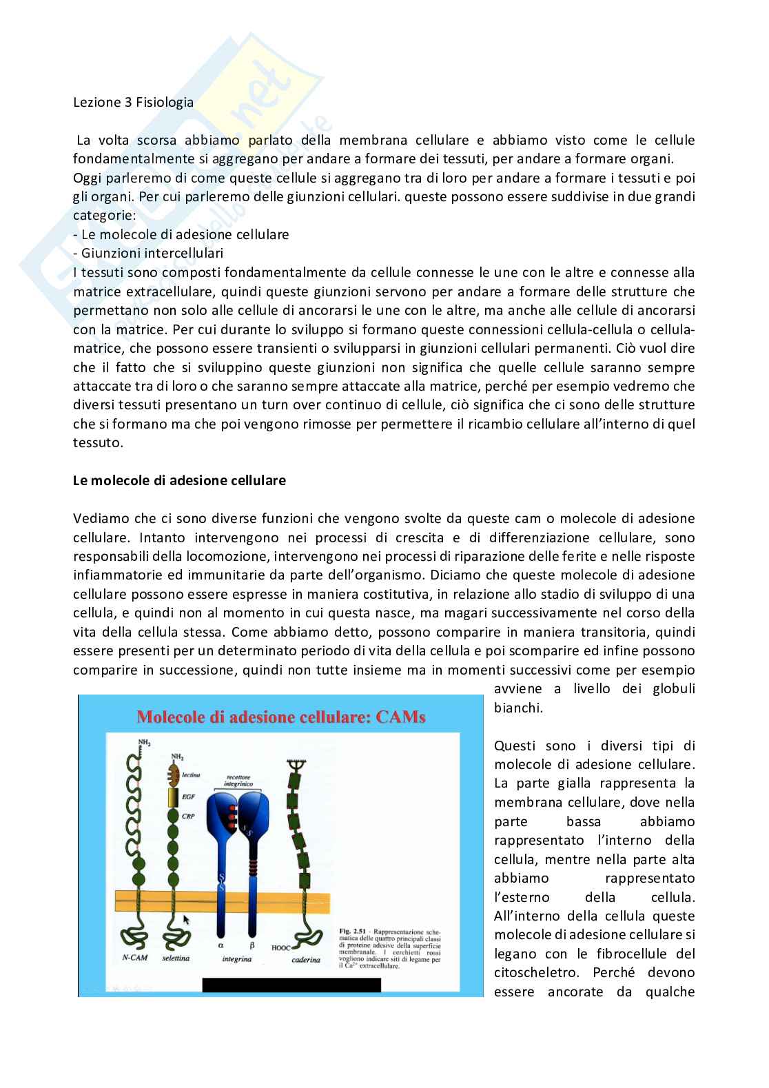 Fisiologia generale - Parte 1  Pag. 31