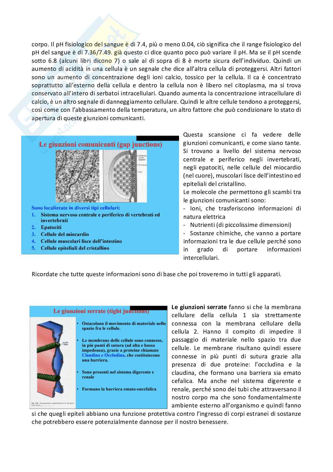 Fisiologia generale - Parte 1  Pag. 36