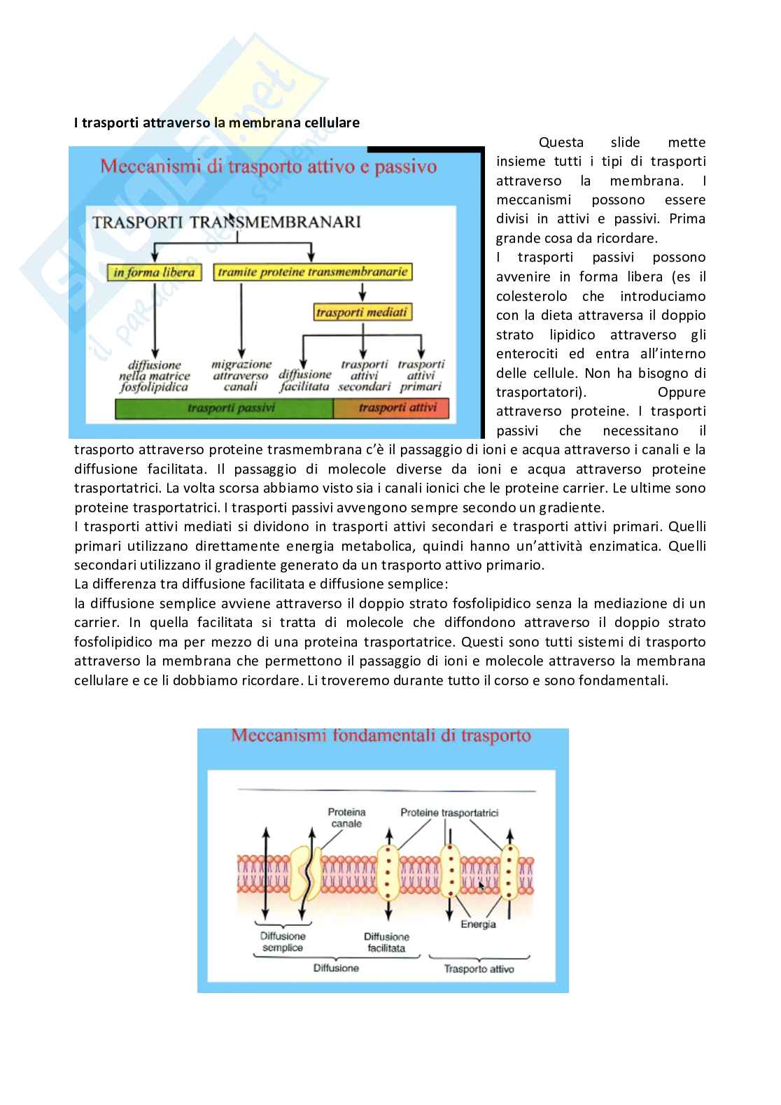 Fisiologia generale - Parte 1  Pag. 56