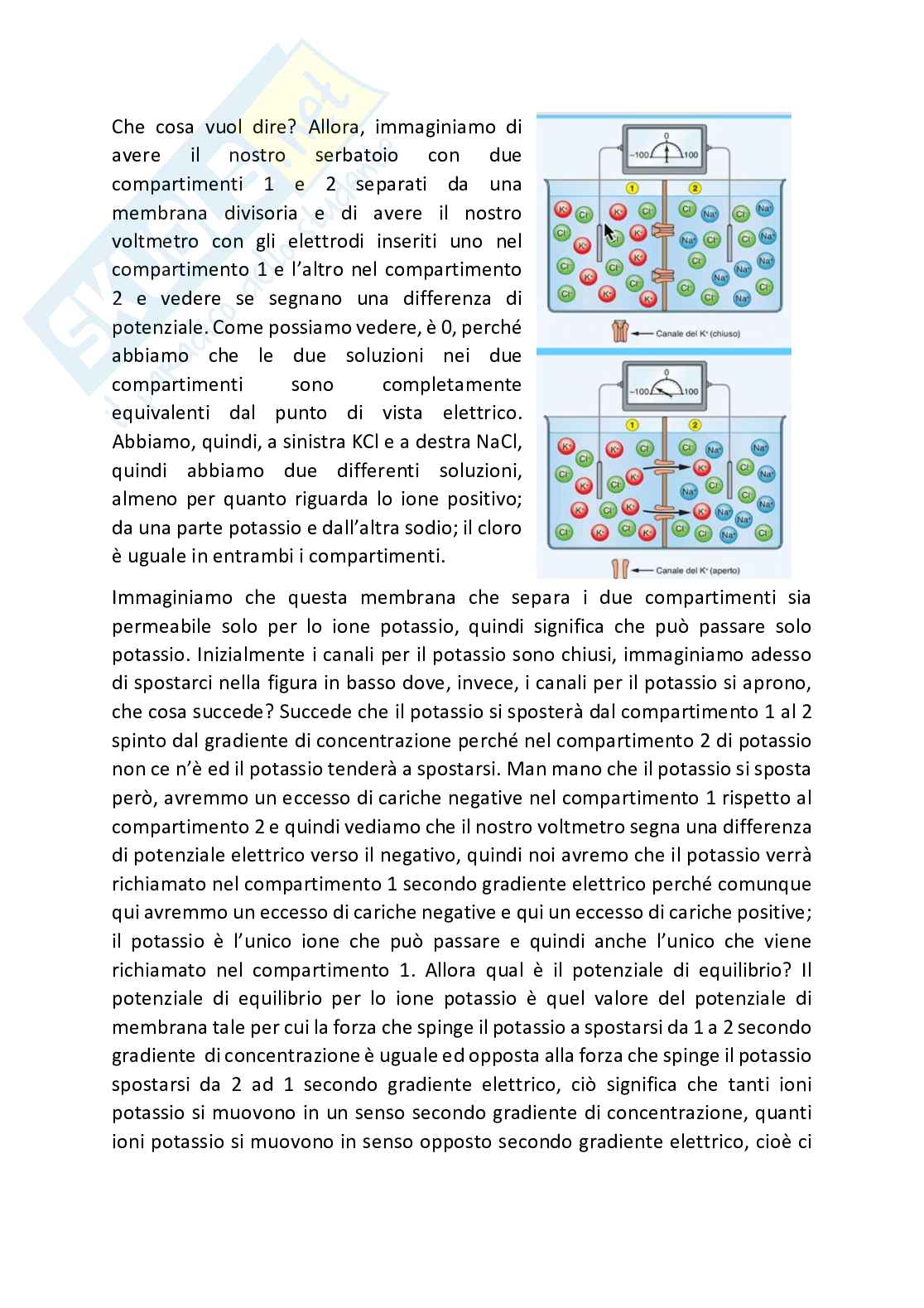 Fisiologia generale - Parte 1  Pag. 66