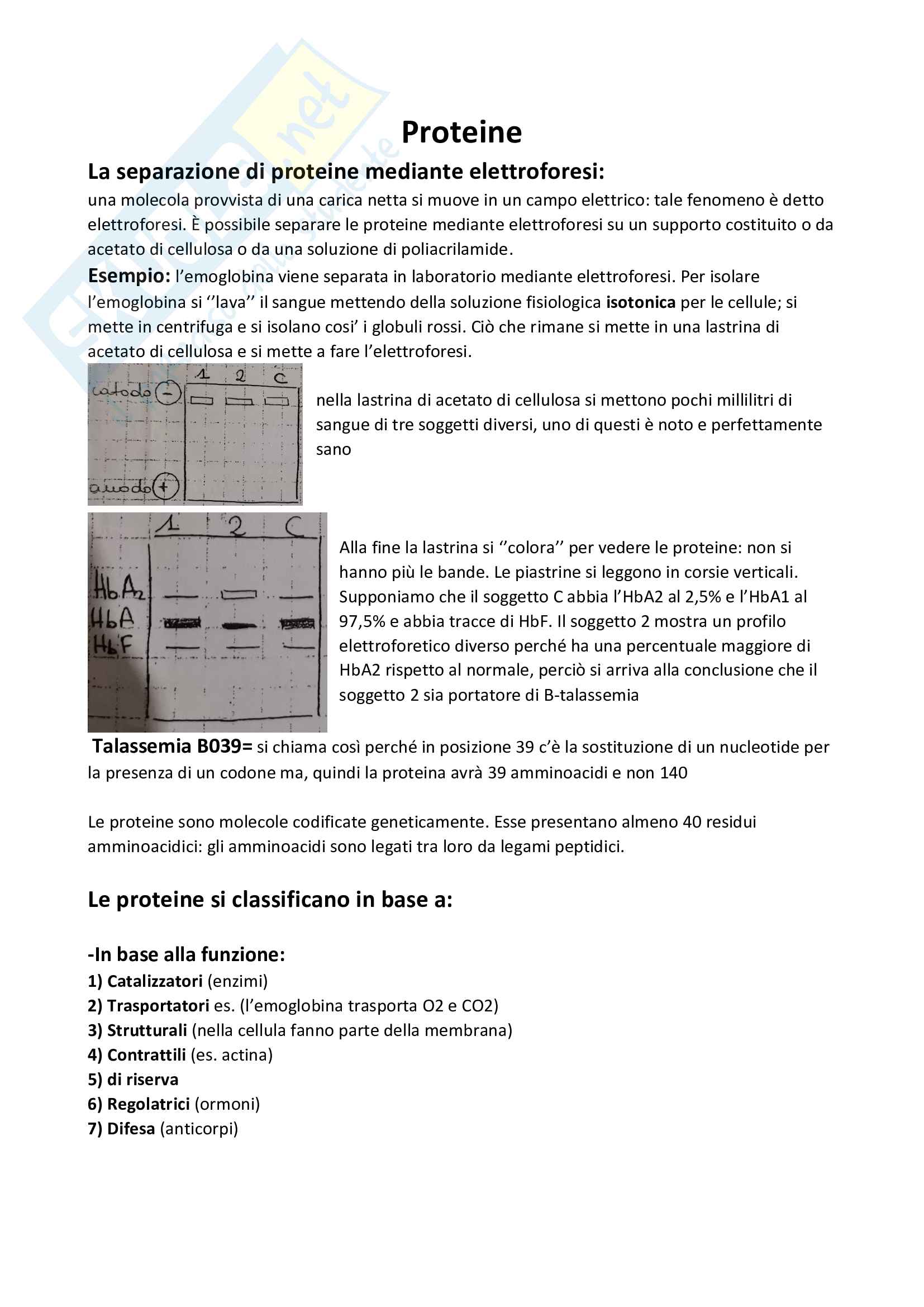 Biochimica - Riassunti completi Pag. 1