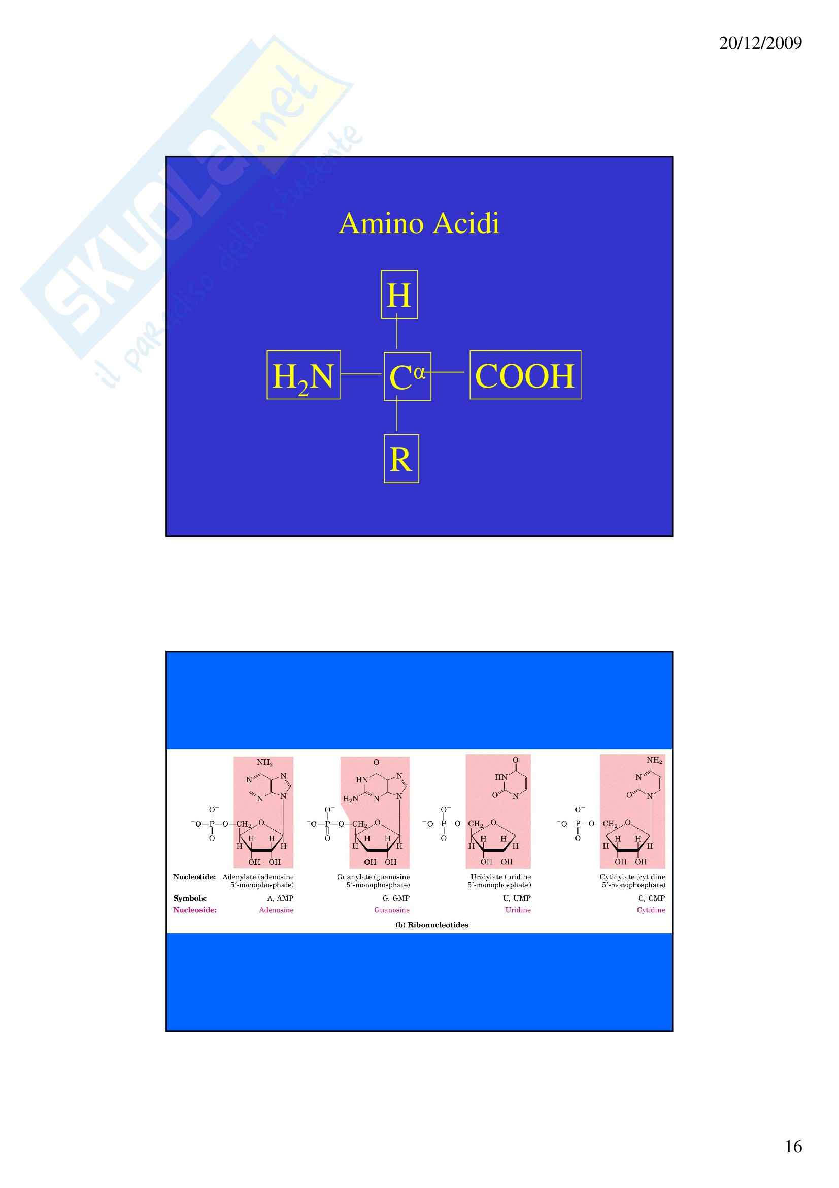 Biochimica – Introduzione – Slides Pag. 16