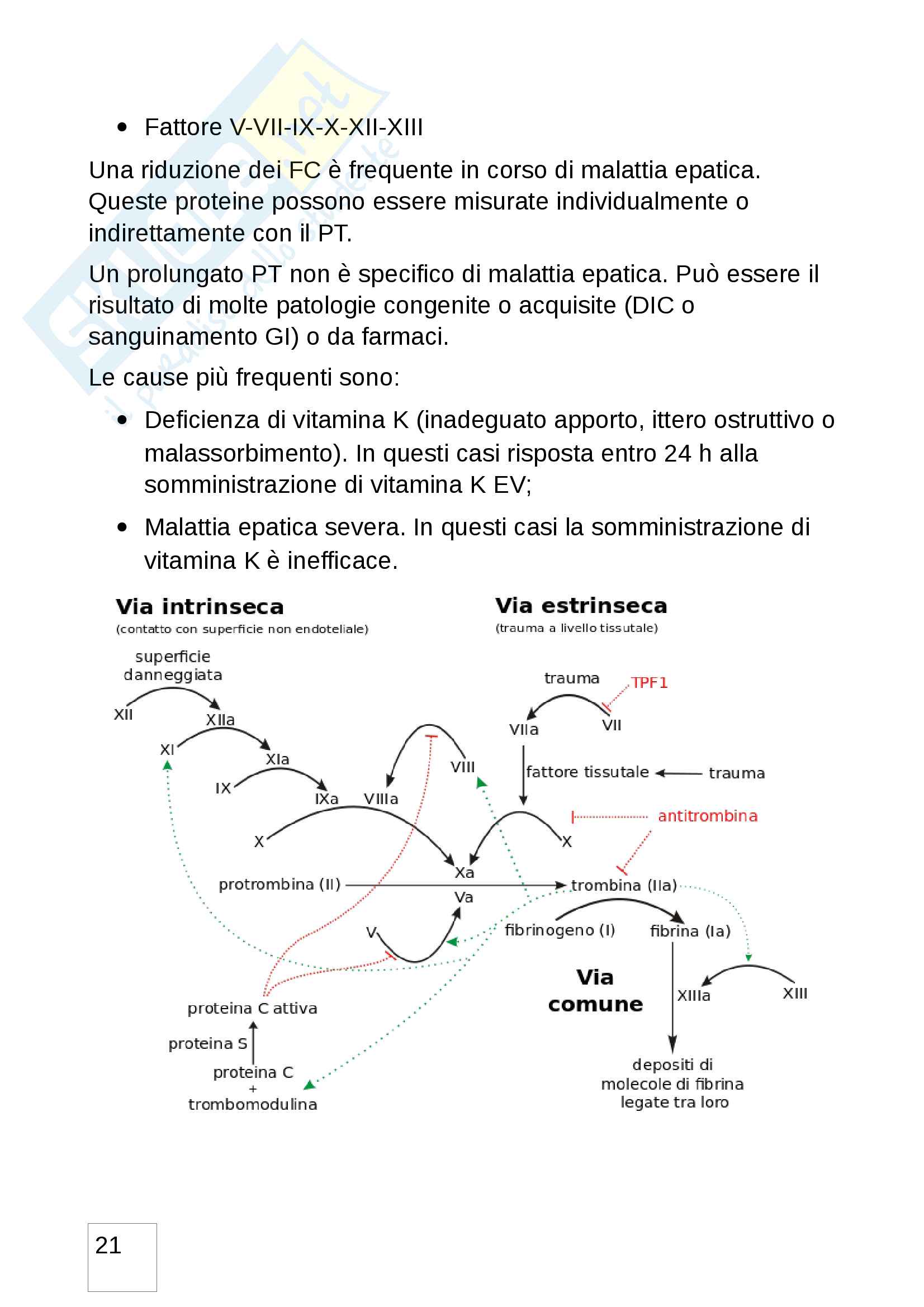 Alterazione dei test di funzionalità epatica Pag. 21