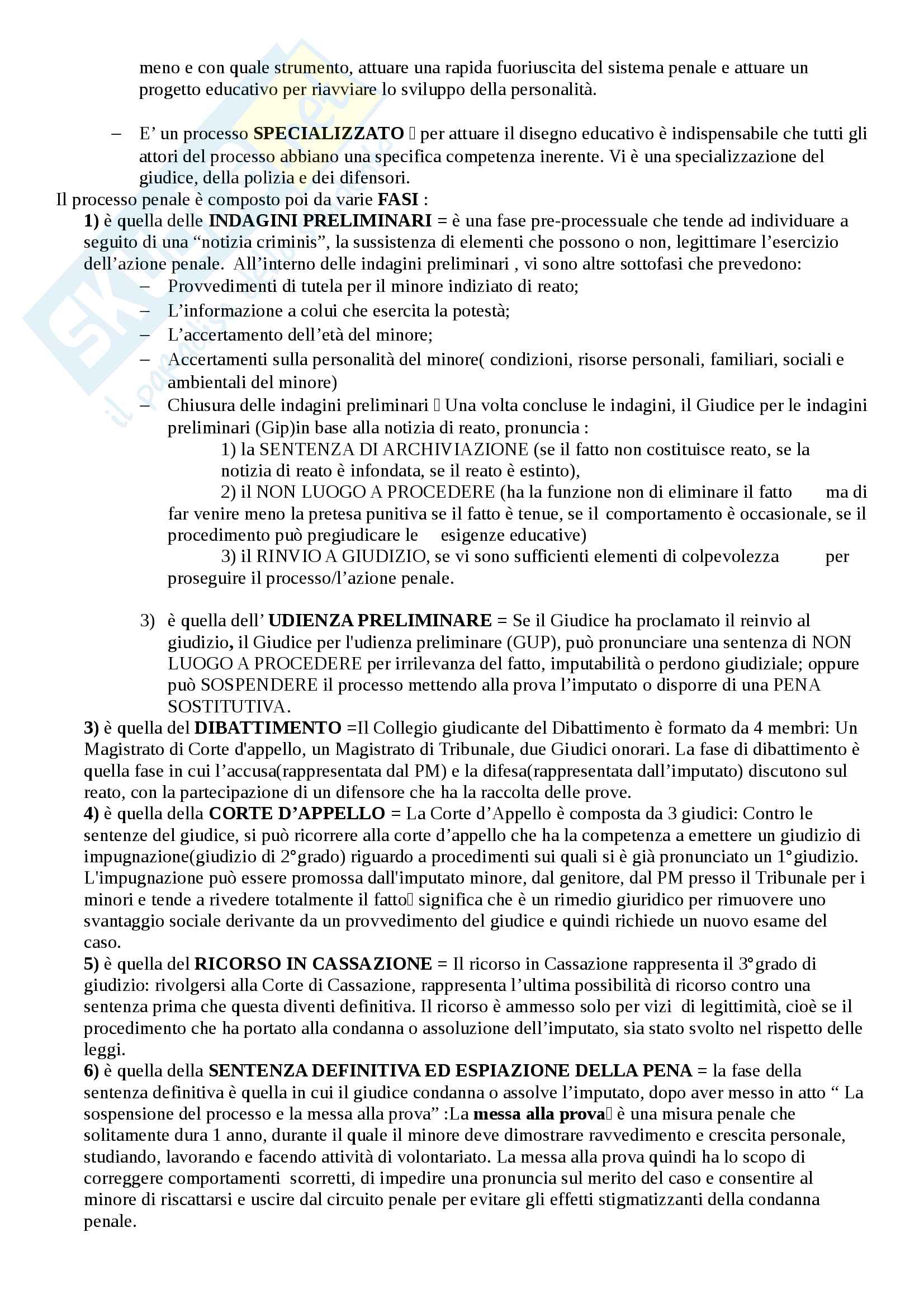 Riassunto esame Legislazione Minorile, Prof.ssa Bares, Libro consigliato "Manuale di diritto minorile", A.C. Moro Pag. 31